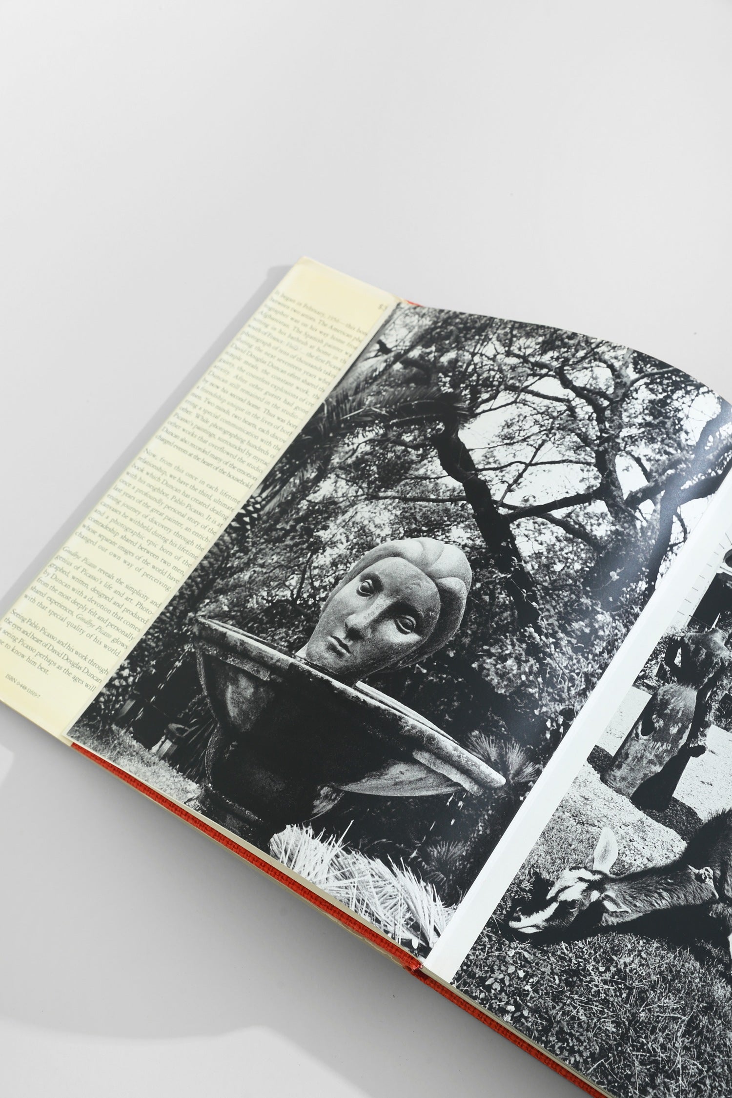 Goodbye Picasso Book — lifestyle setting