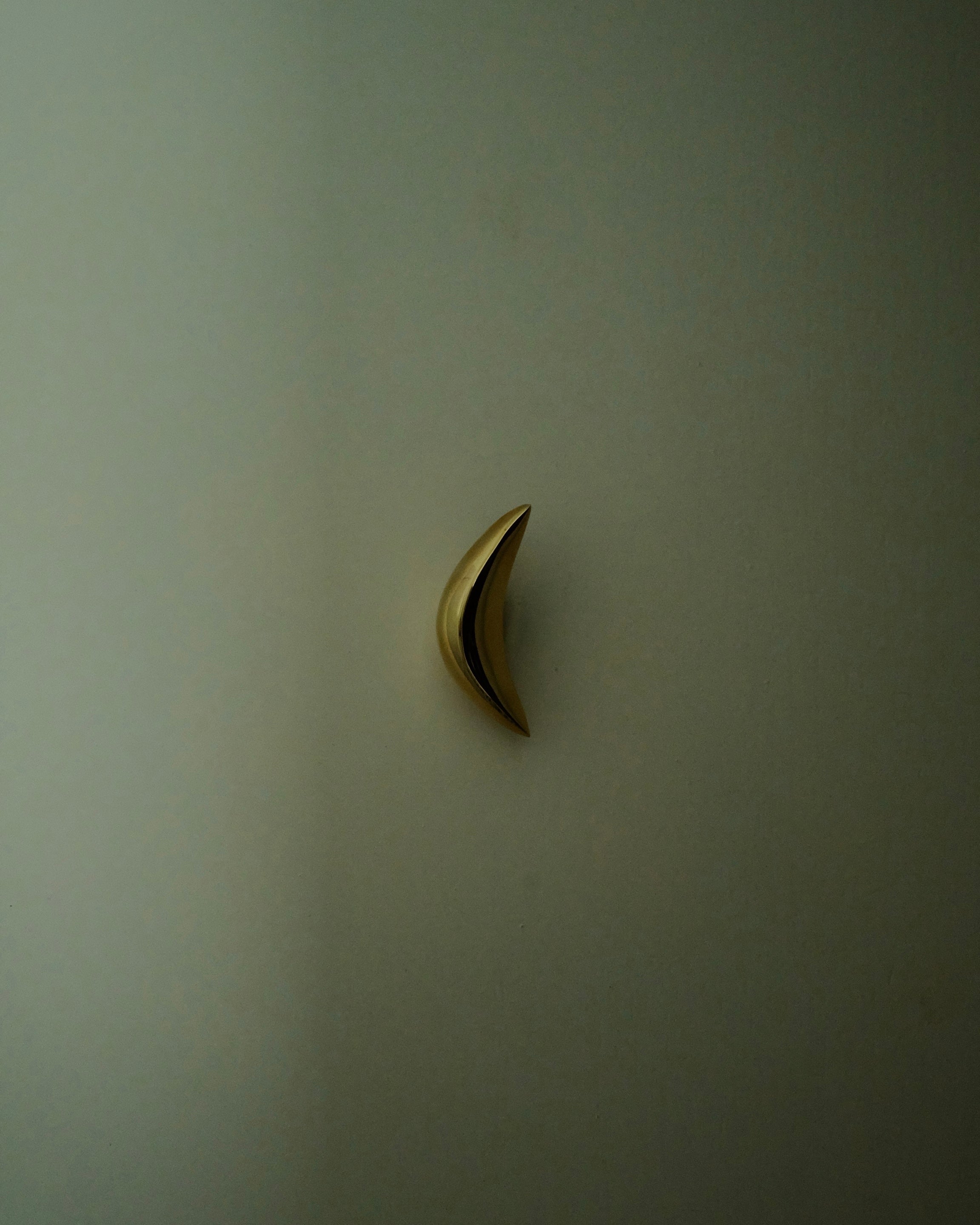 PETAL Knob/Hook — angled view on light wall surface