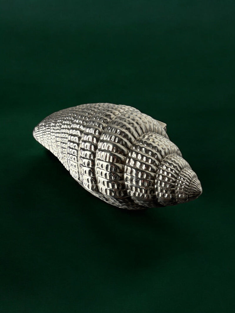 Shell Jewelry Box, Italy, 1970's — close-up of textured shell surface