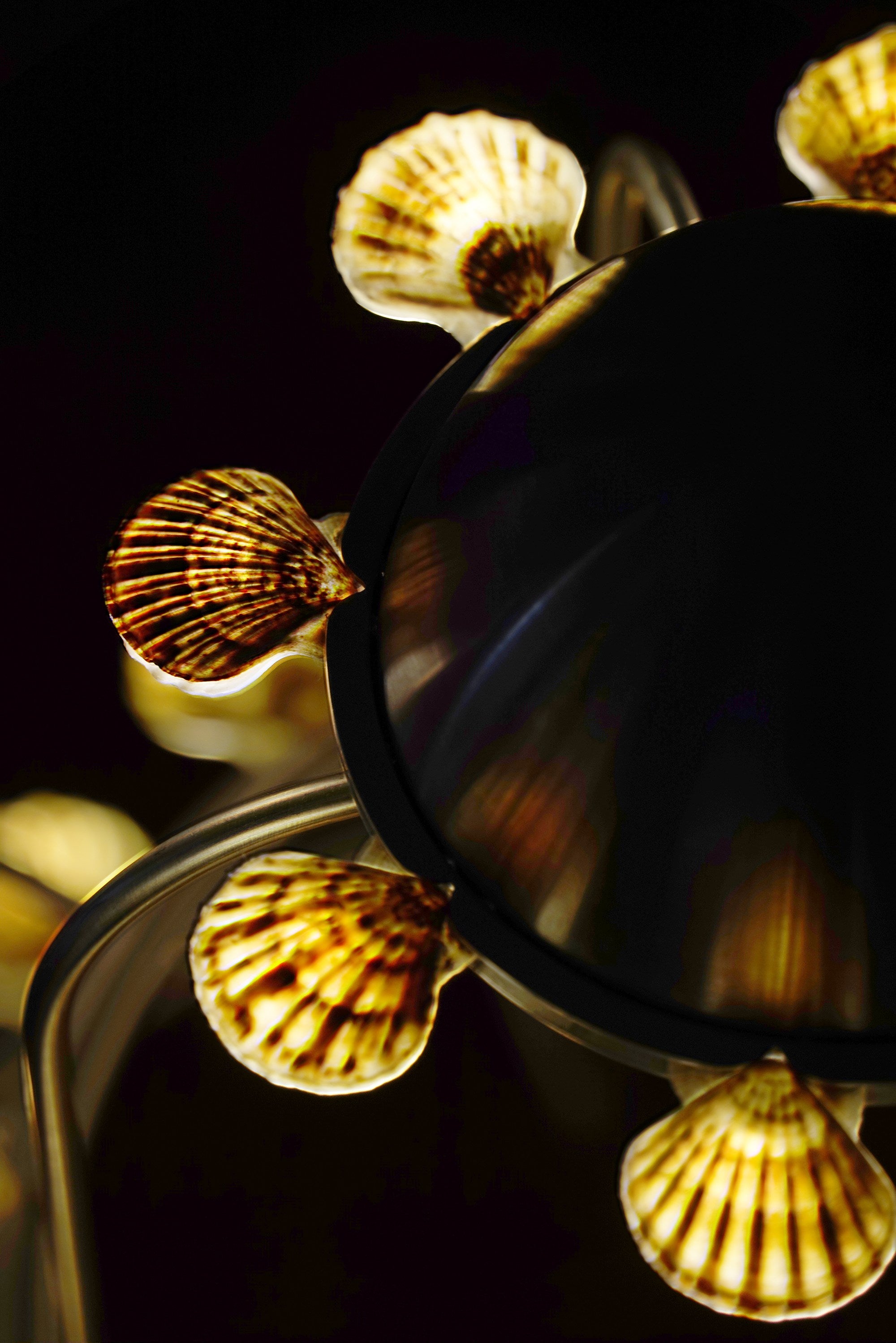 The Lamp With Shells — close-up of shell details on lamp