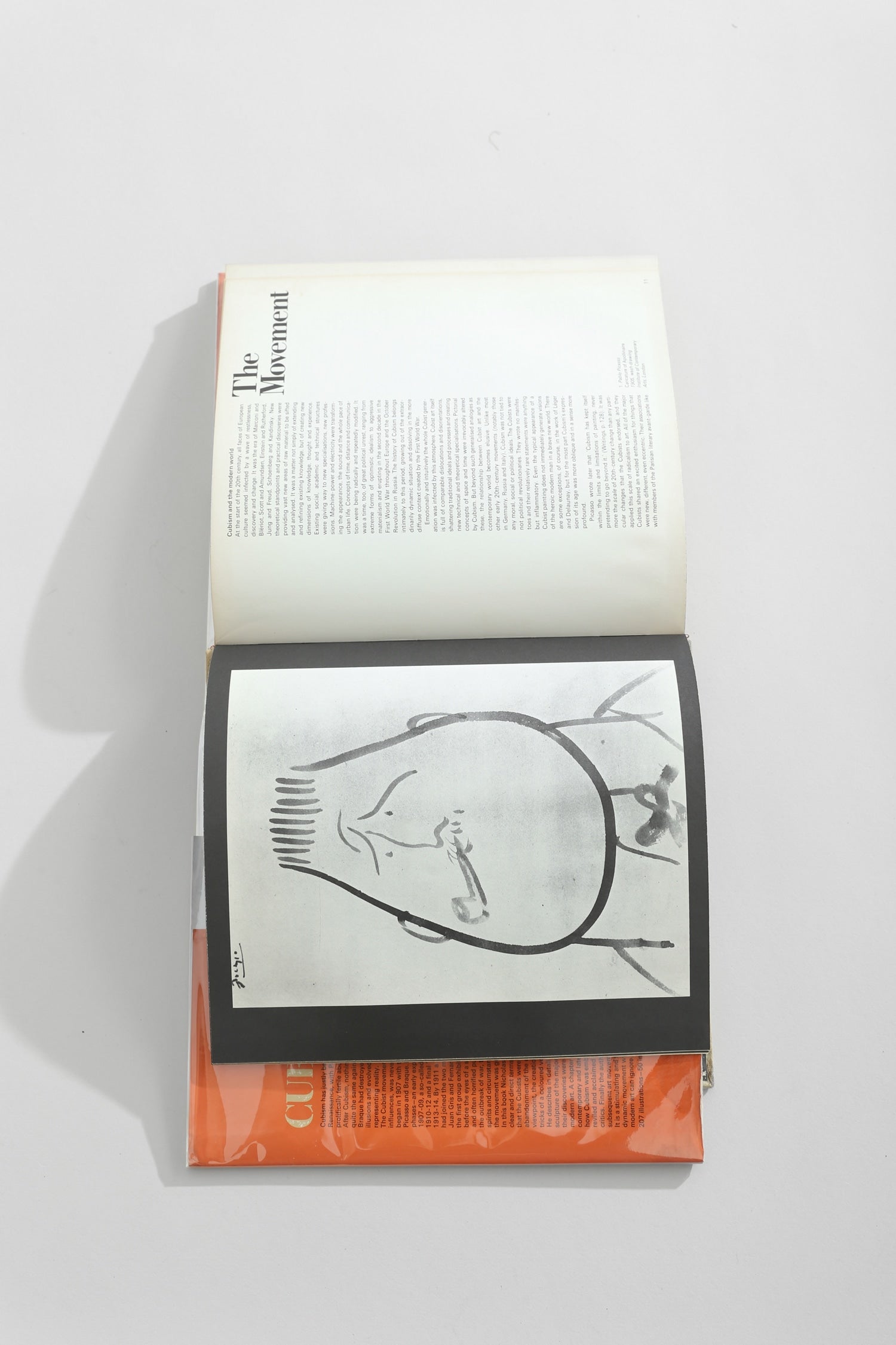 Cubism Book — top view of open pages with illustrations