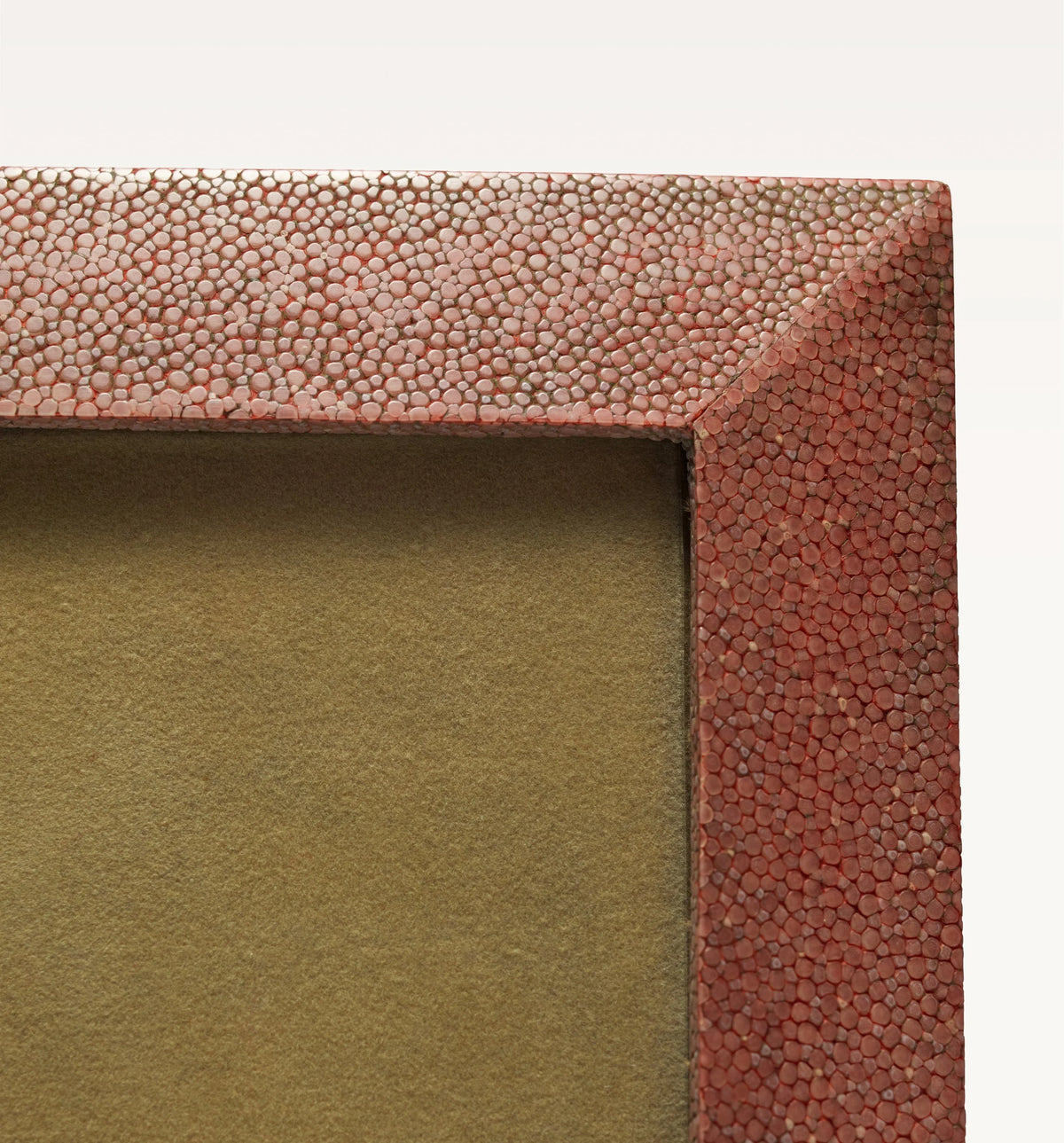 Shagreen Frame — detail view