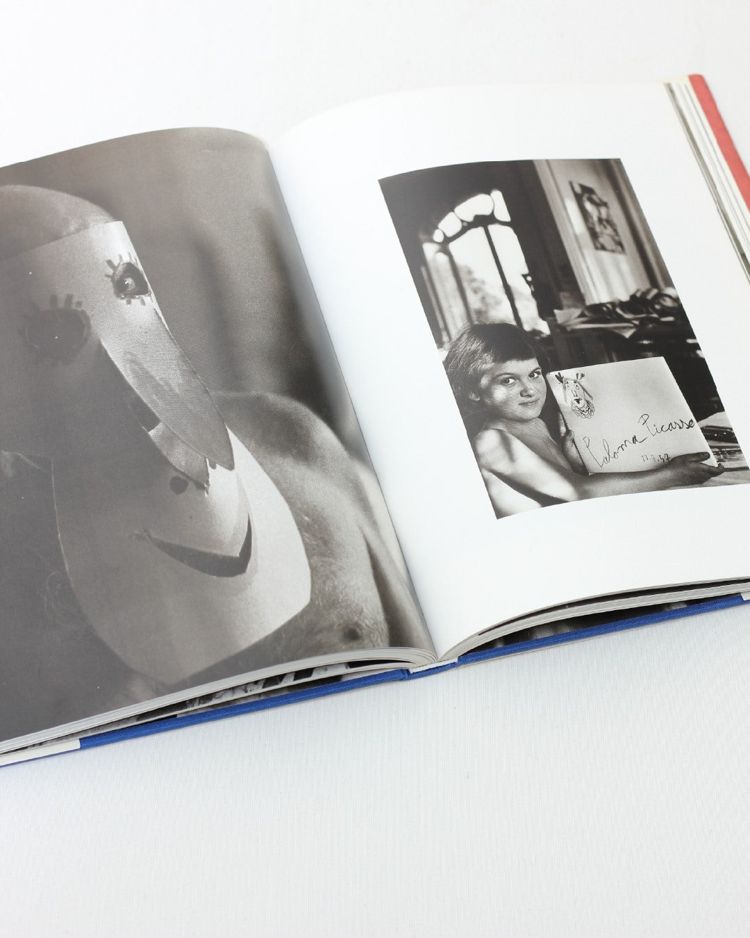 Picasso and Jacqueline — top view of open book on white surface