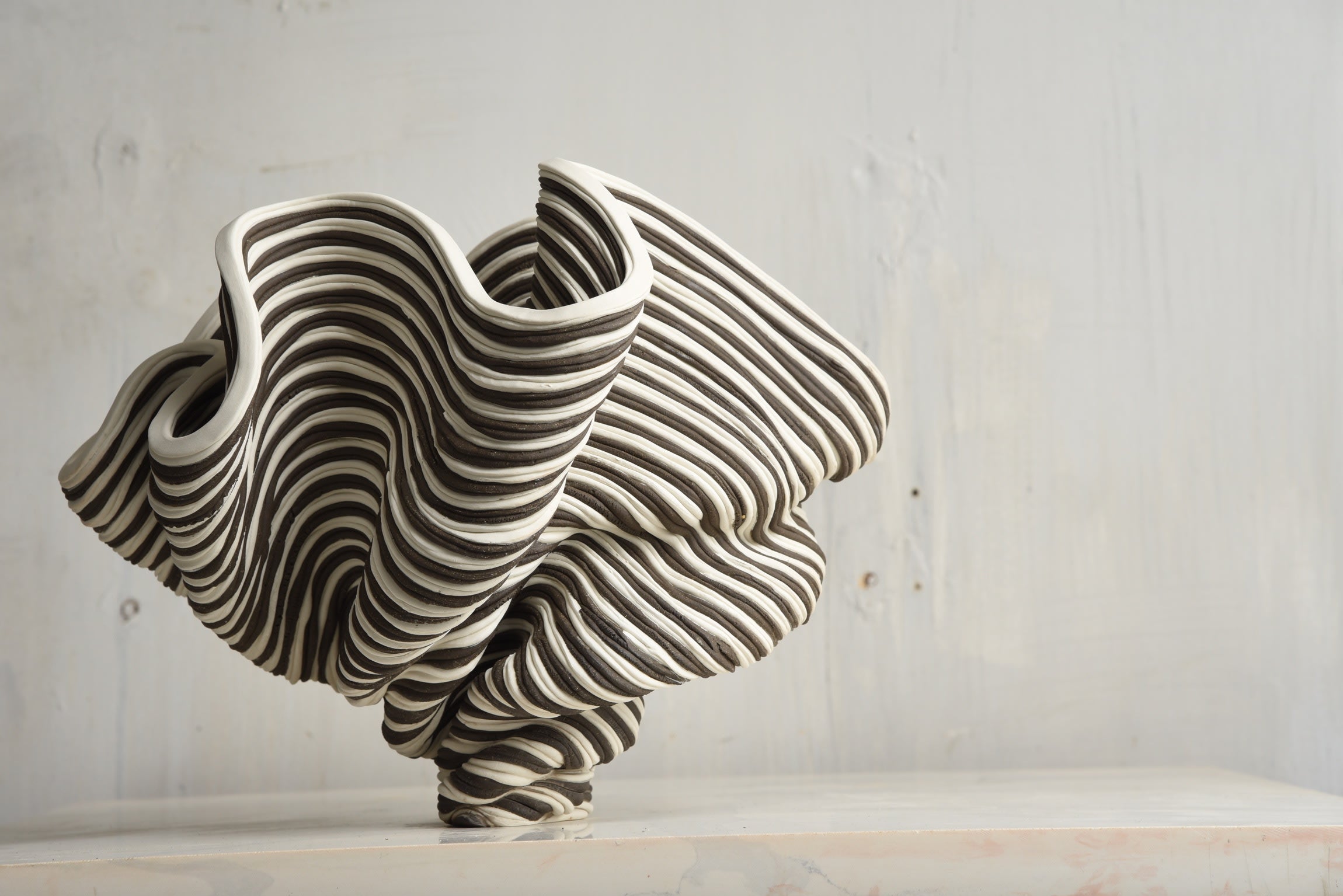 Black & White Flutter — close-up