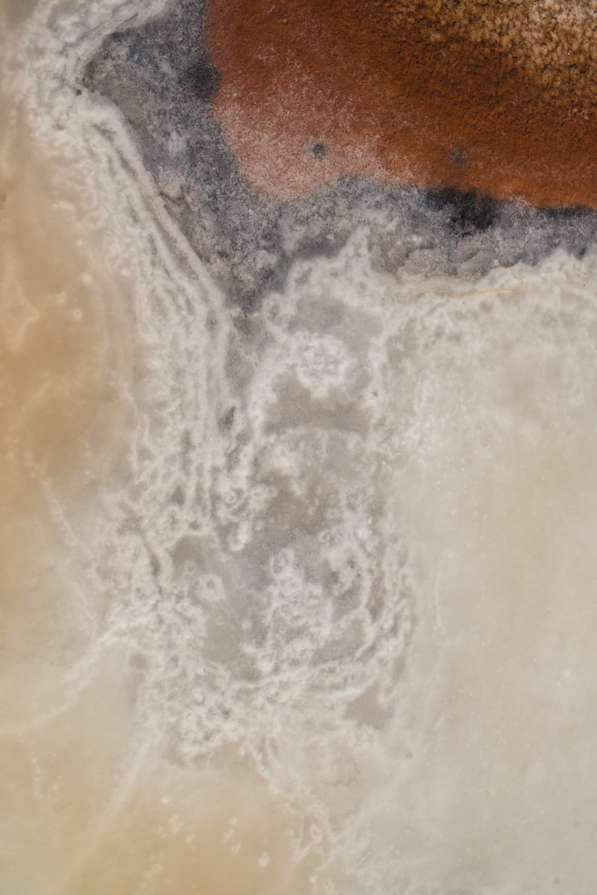 Ses Salines No. 18 — Fine Art Photograph — detail view