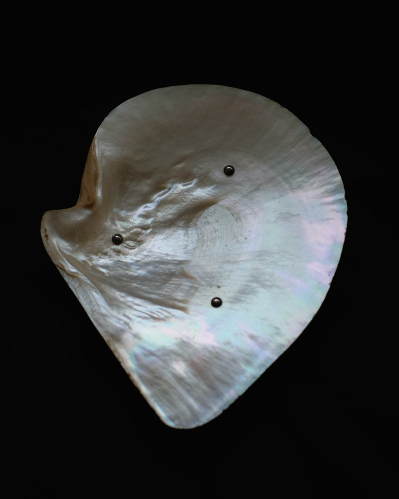 Mother-of-pearl Shell Vide-poches — close-up of iridescent shell surface
