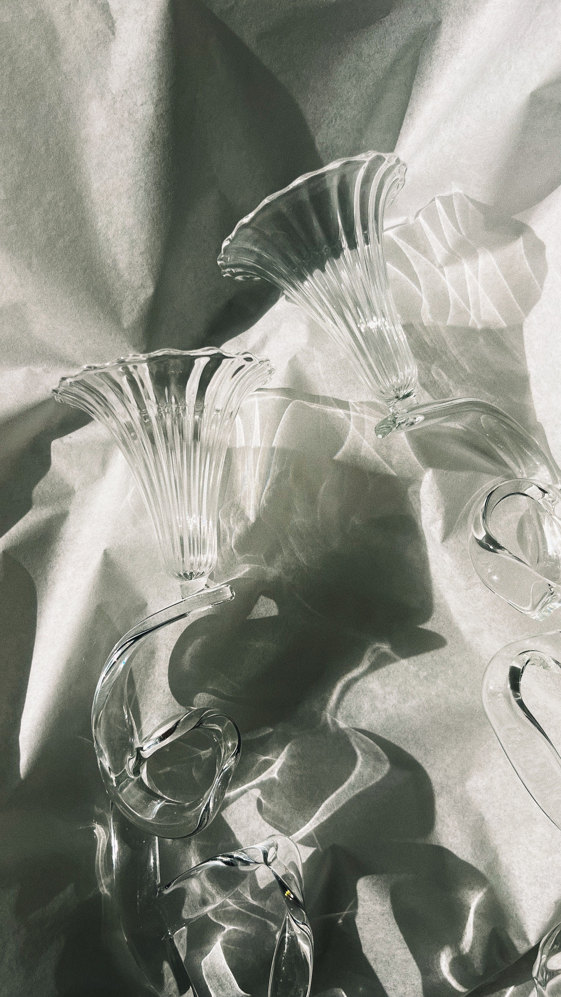Glass ribbon candleholder with flowing curved design and dramatic shadows