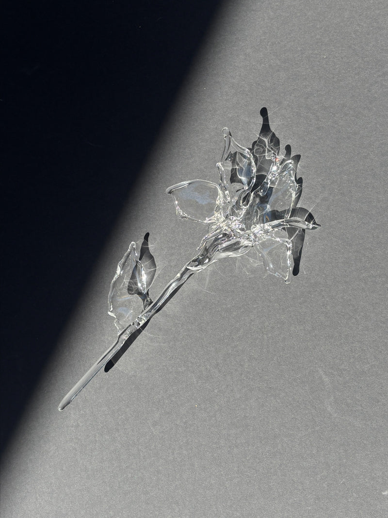 Glass Flower Organic Sculpture by Pia Glassworks | The Oblist