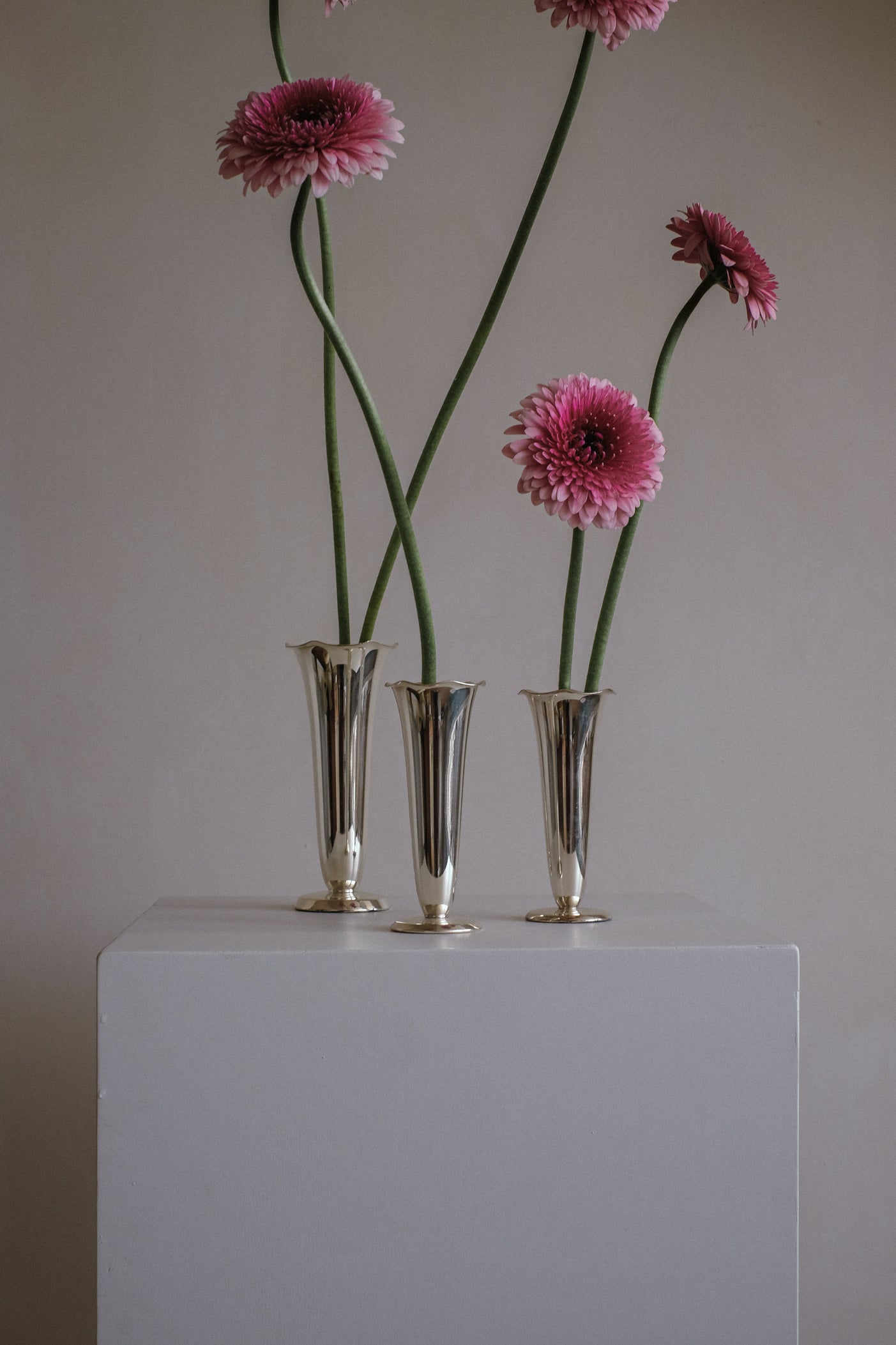 Set of 3 silver-plated vases  — in context