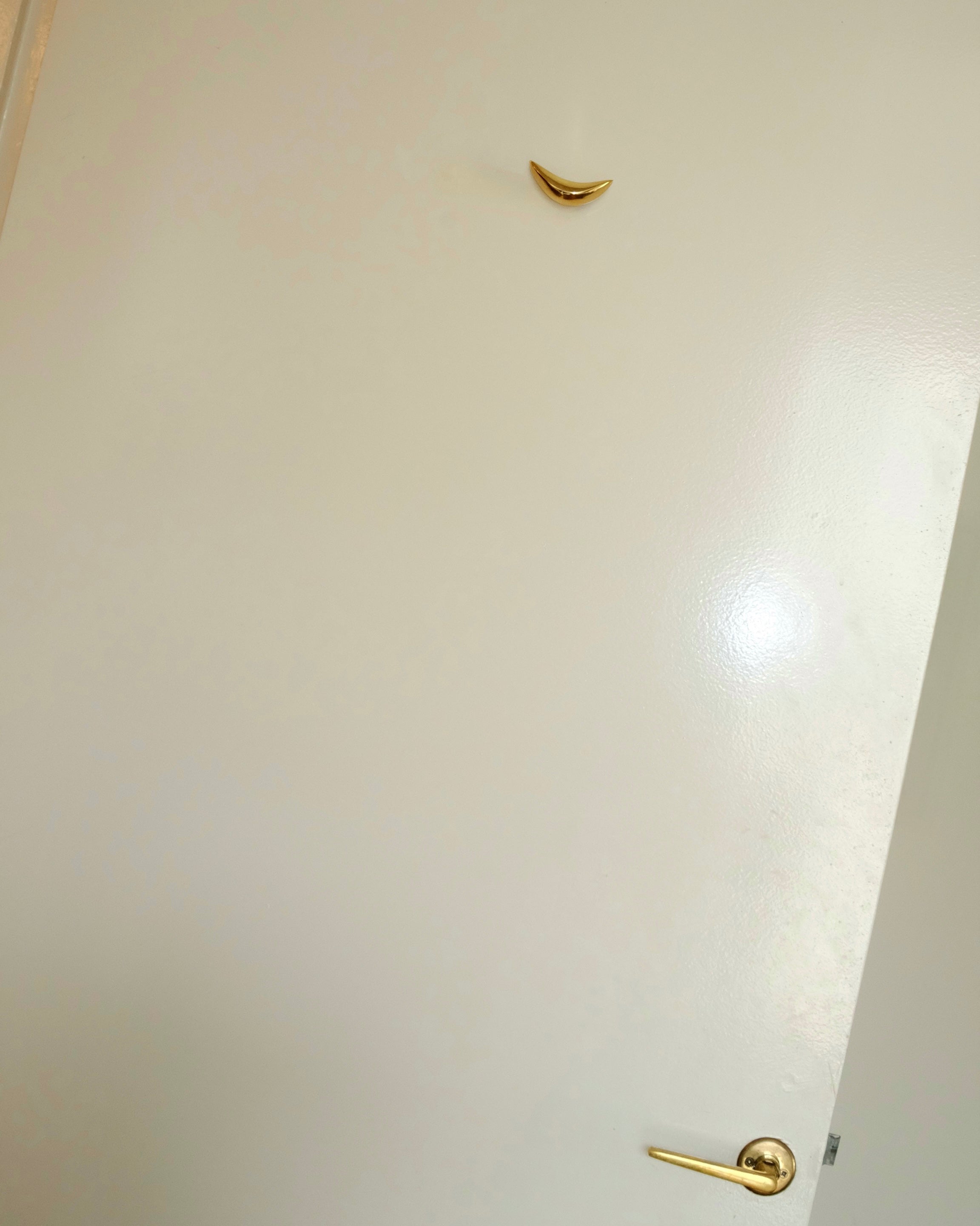 PETAL Knob/Hook — mounted on white door in modern setting