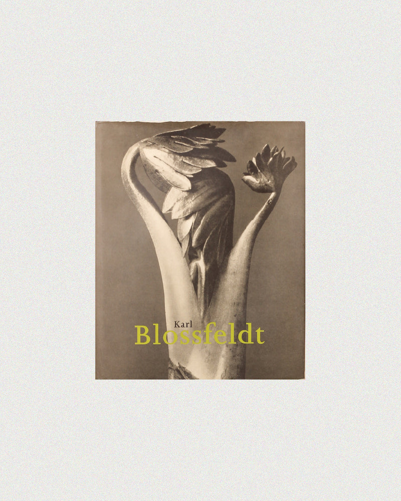 Karl Blossfeldt by Boga Avante Shop | The Oblist