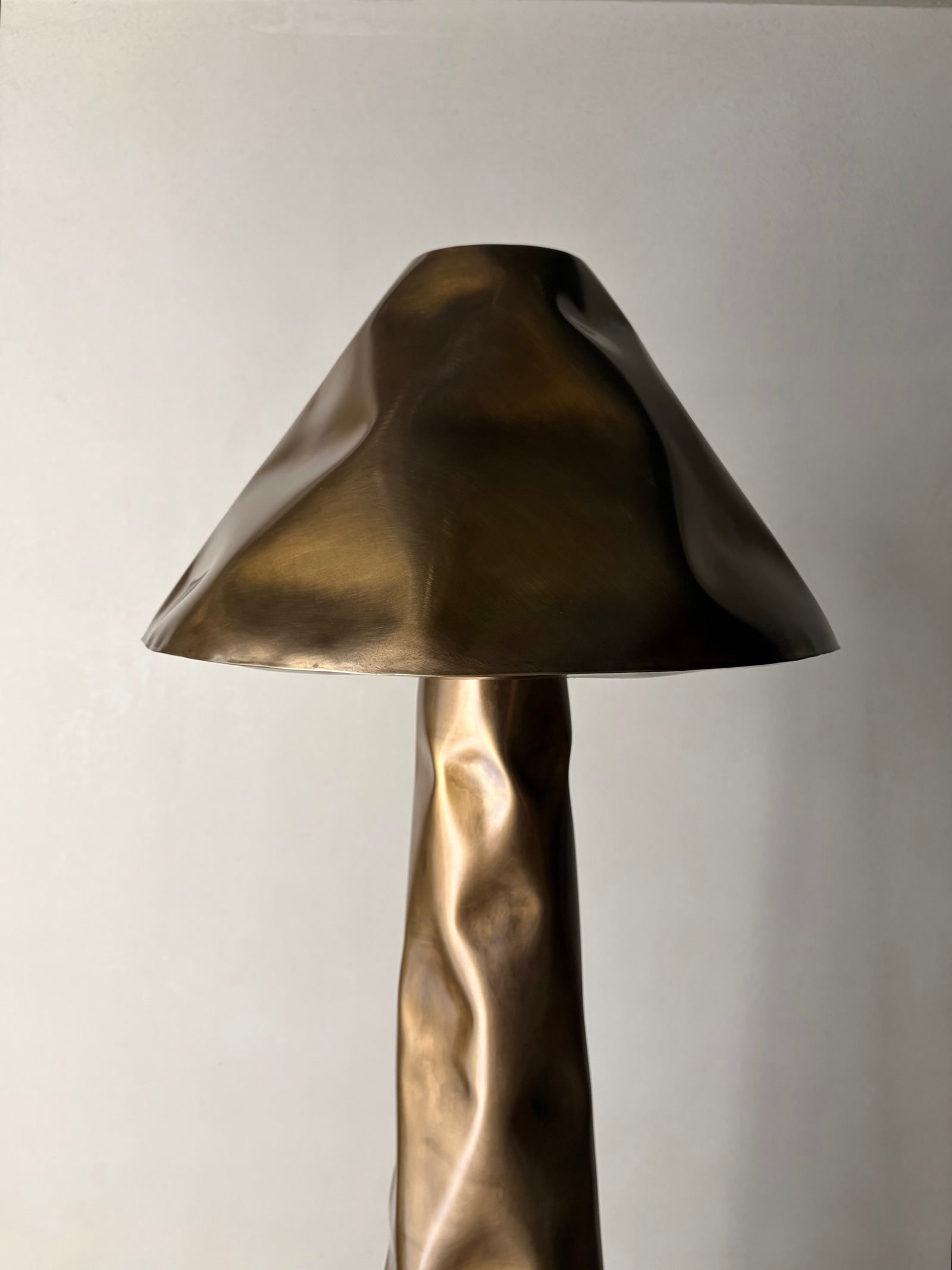 Stainless Steel Mushroom Light by Nitush Aroosh by Nitush Aroosh | The Oblist