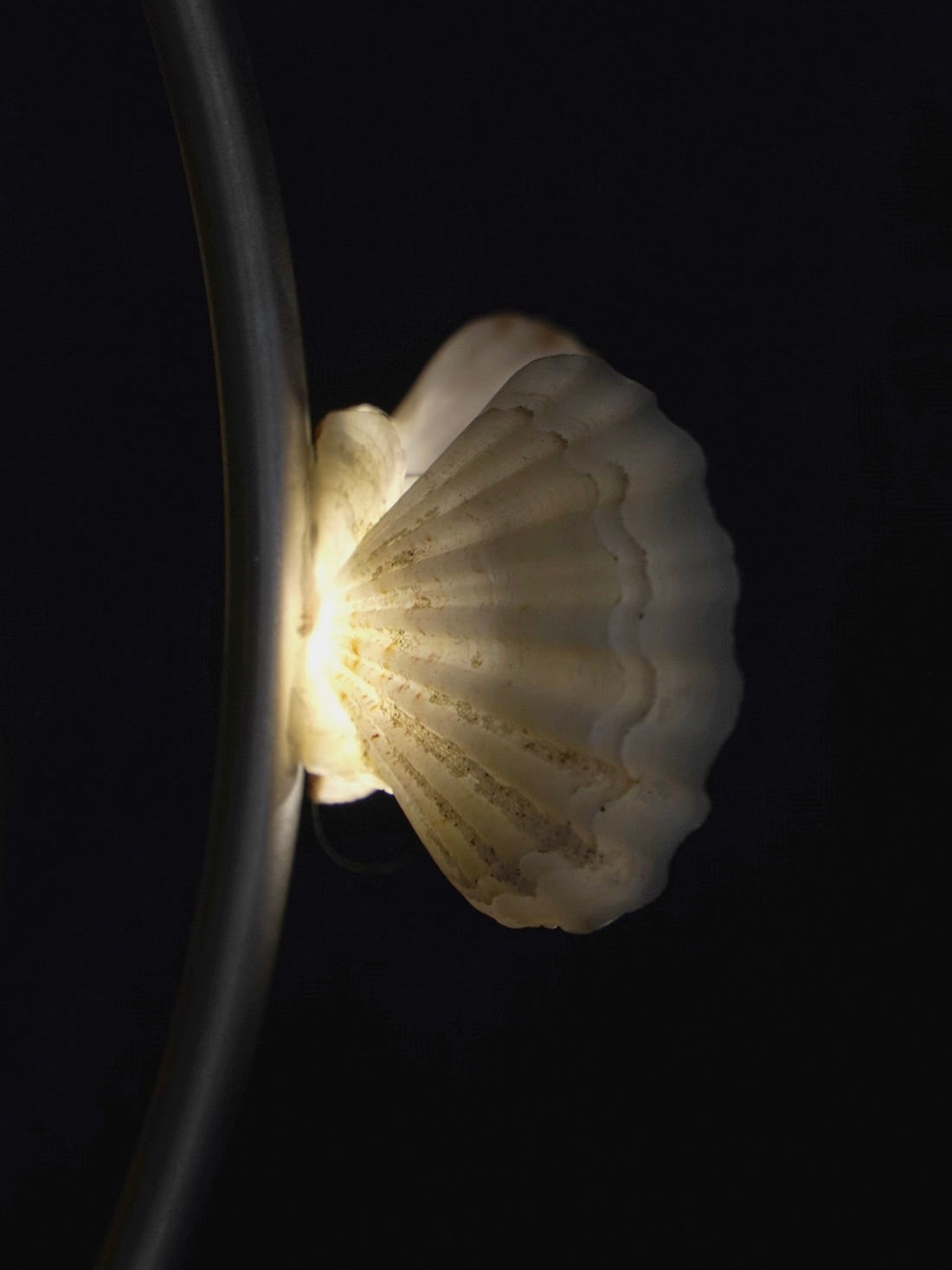 The Floor Lamp With Shells — close-up of shell detail with warm light