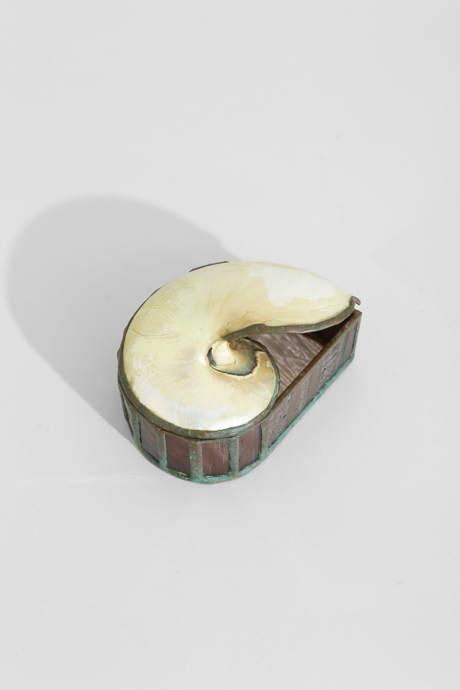 Nautilus Shell Jewelry Box by Villa | The Oblist