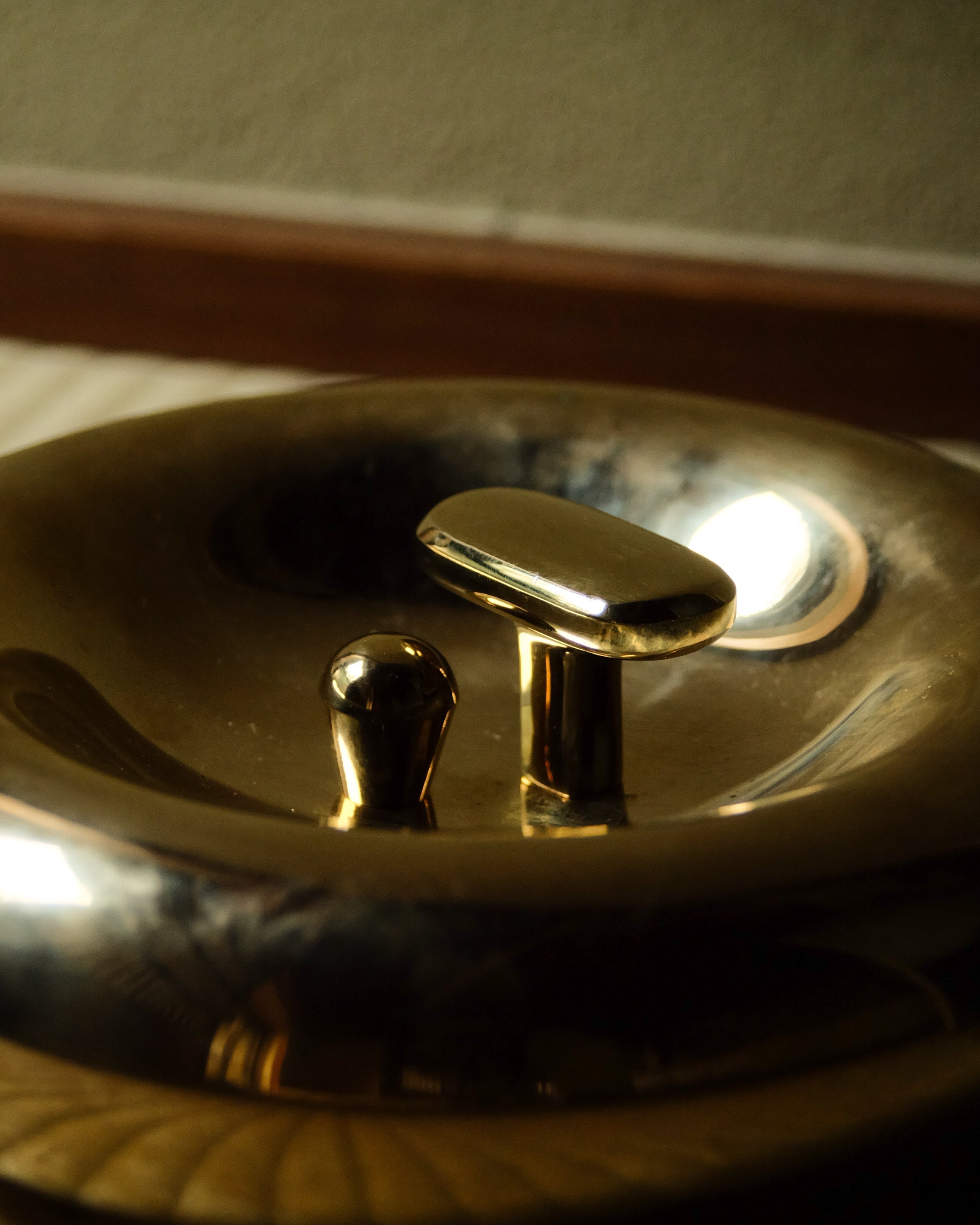 LUA Cabinet Knob — back view of polished brass surface