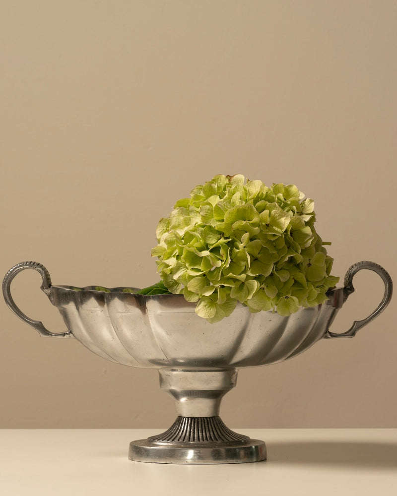 Elegant silver trophy bowl with handles displaying green hydrangea