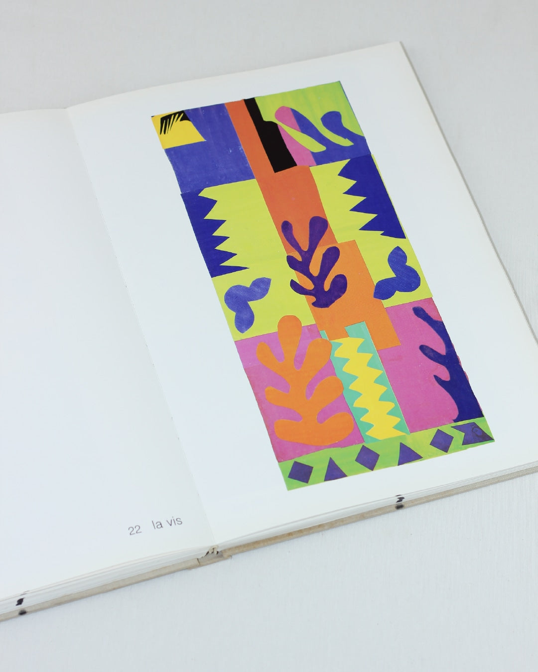 Book MATISSE PAPER CUTOUTS by Boga Avante Shop | The Oblist
