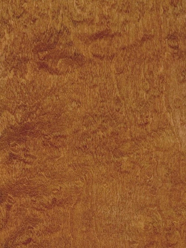 Aquarama Headboard in Birds Eye Maple — close-up of textured wood grain