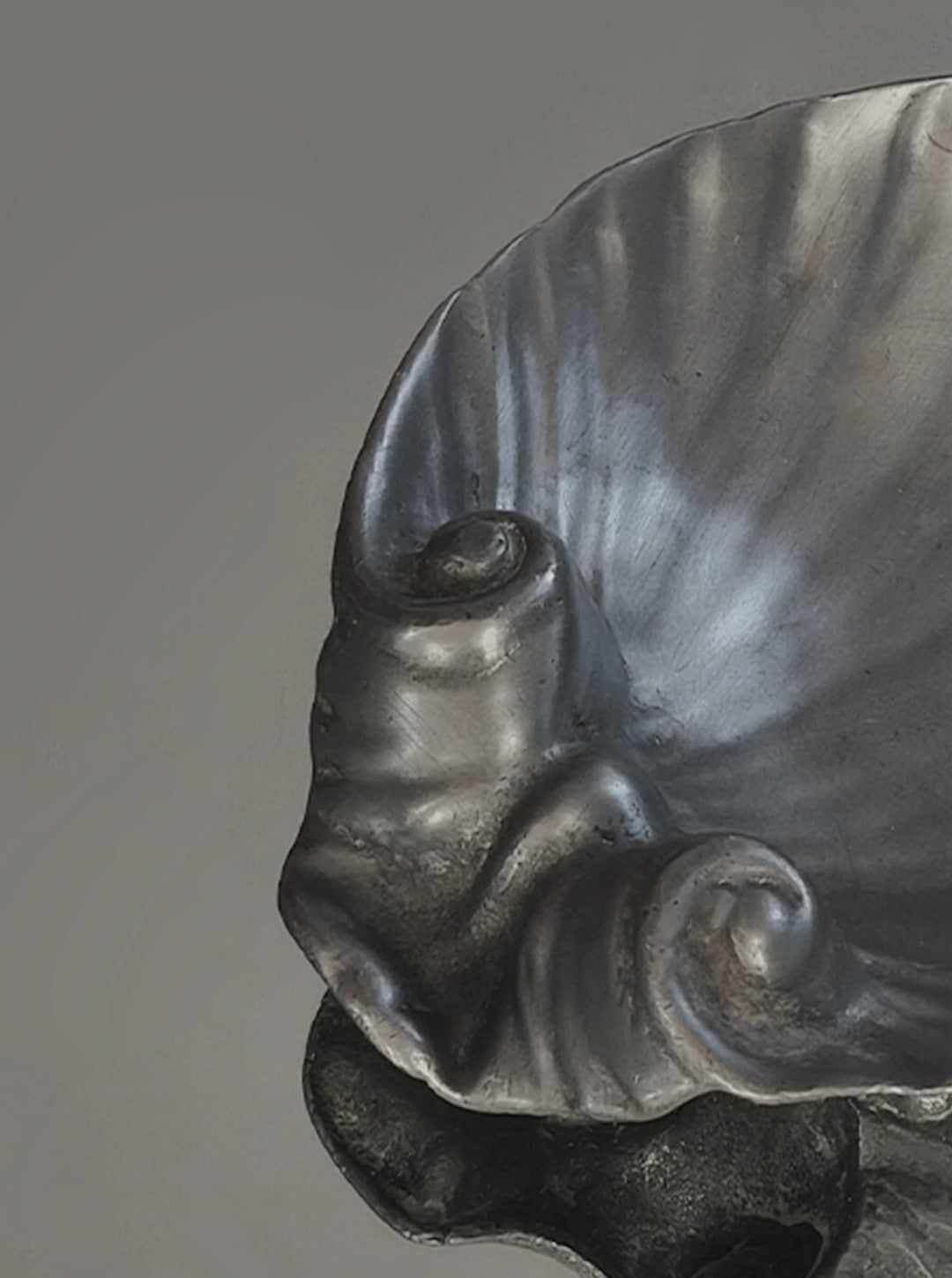 Pewter shell vide-poche detail showing sculptural curves and reflective surface