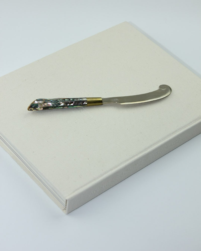 Vintage Abalone Knife — close-up of handle with iridescent shell details