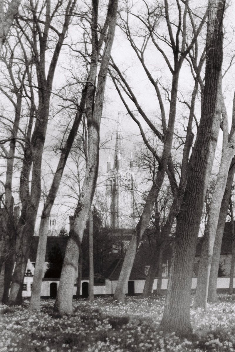 Memory XVI — Contemporary Photography, Aluminium Frame — detail view
