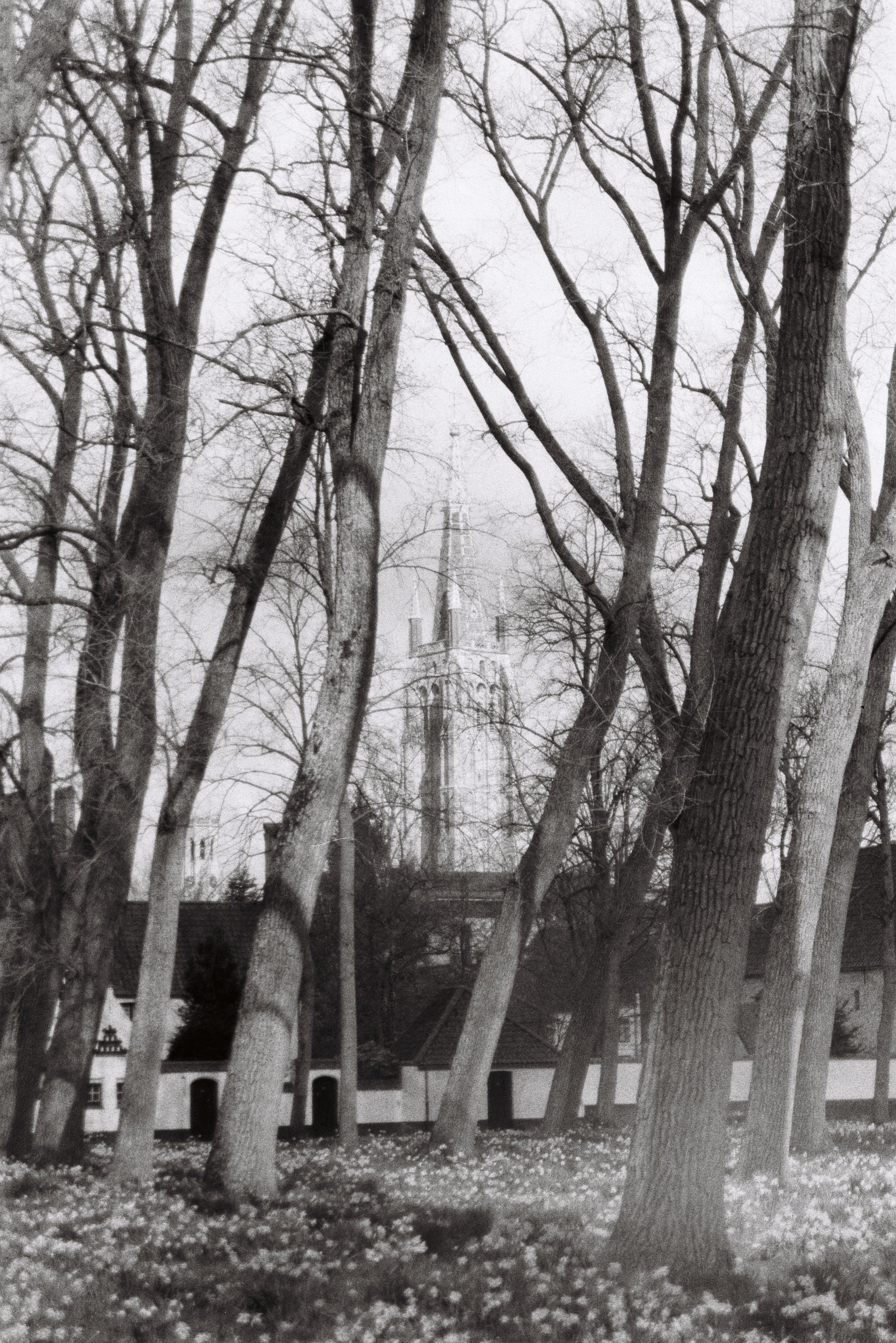 Memory XVI — Contemporary Photography, Aluminium Frame — detail view