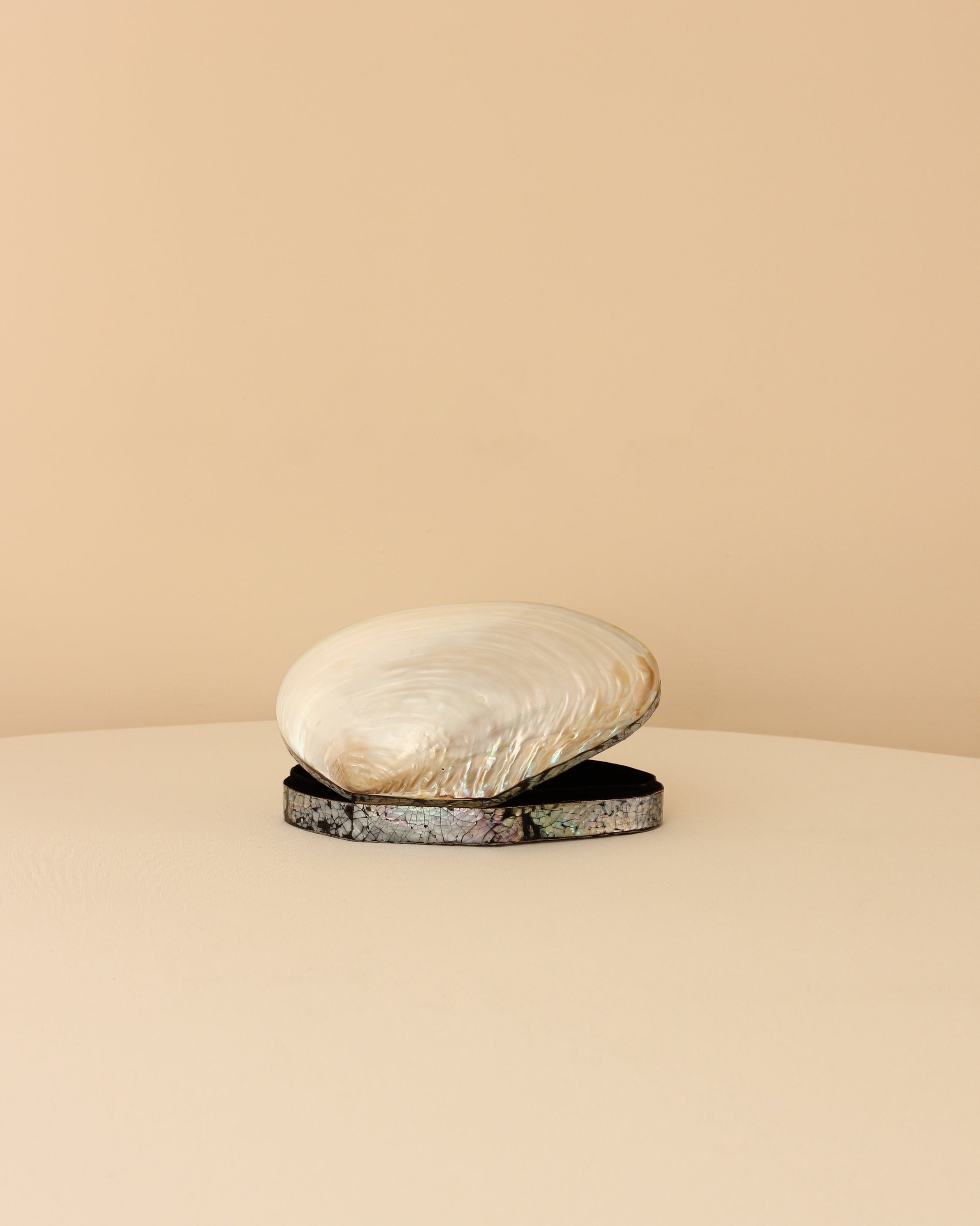 Shell Jewelry Box — lifestyle setting