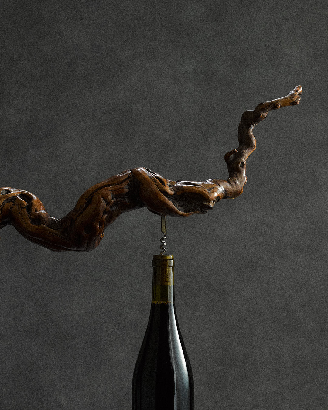 oversized vine root corkscrew — side angle showing dark wood texture