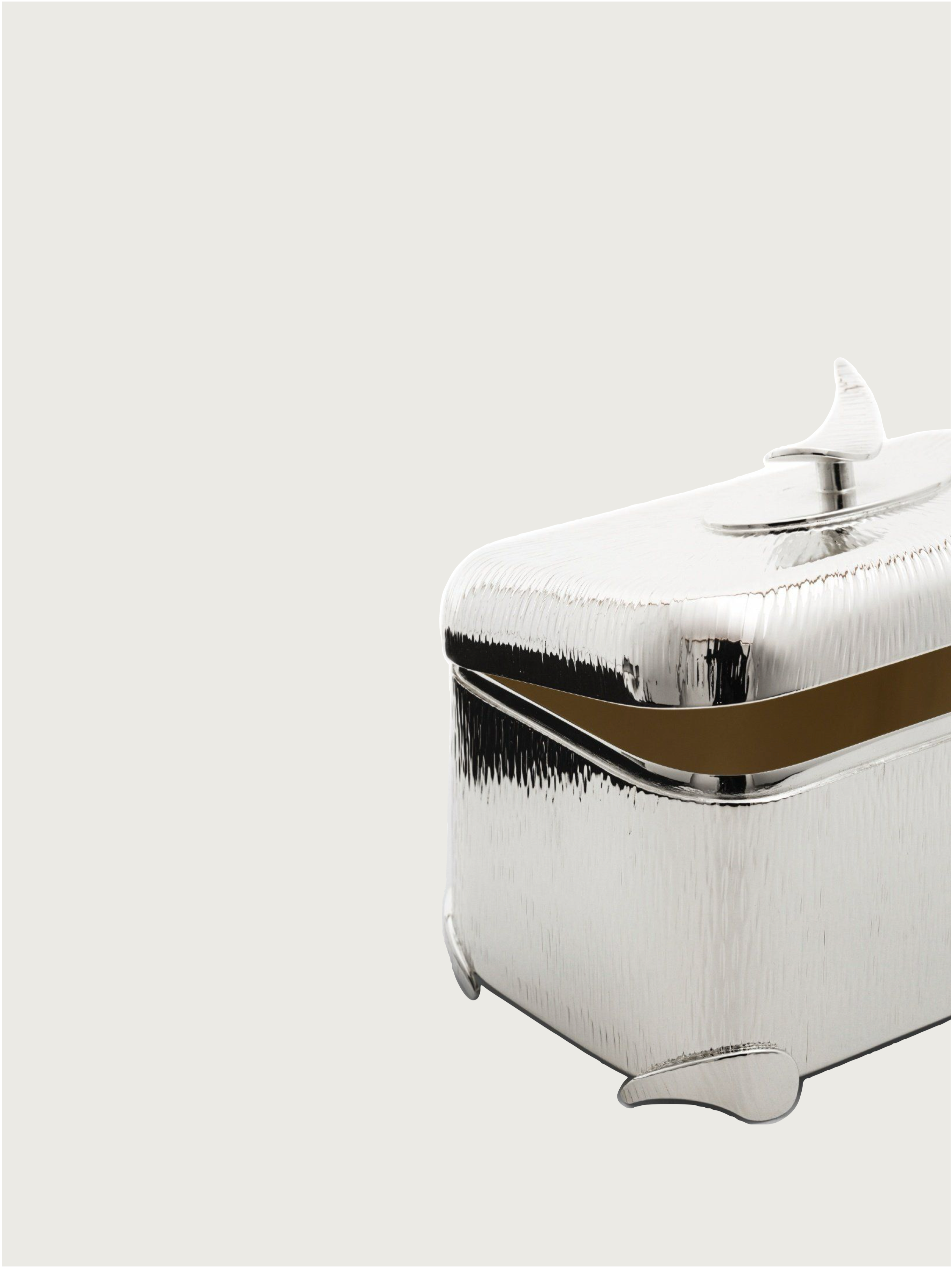 Silver-plated valuables holder — close-up of textured silver surface