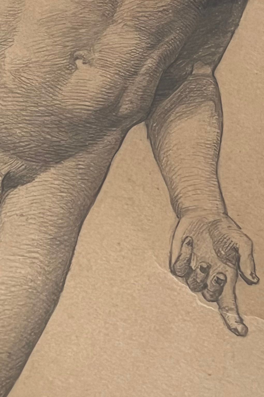Figure Drawing, Male Nude