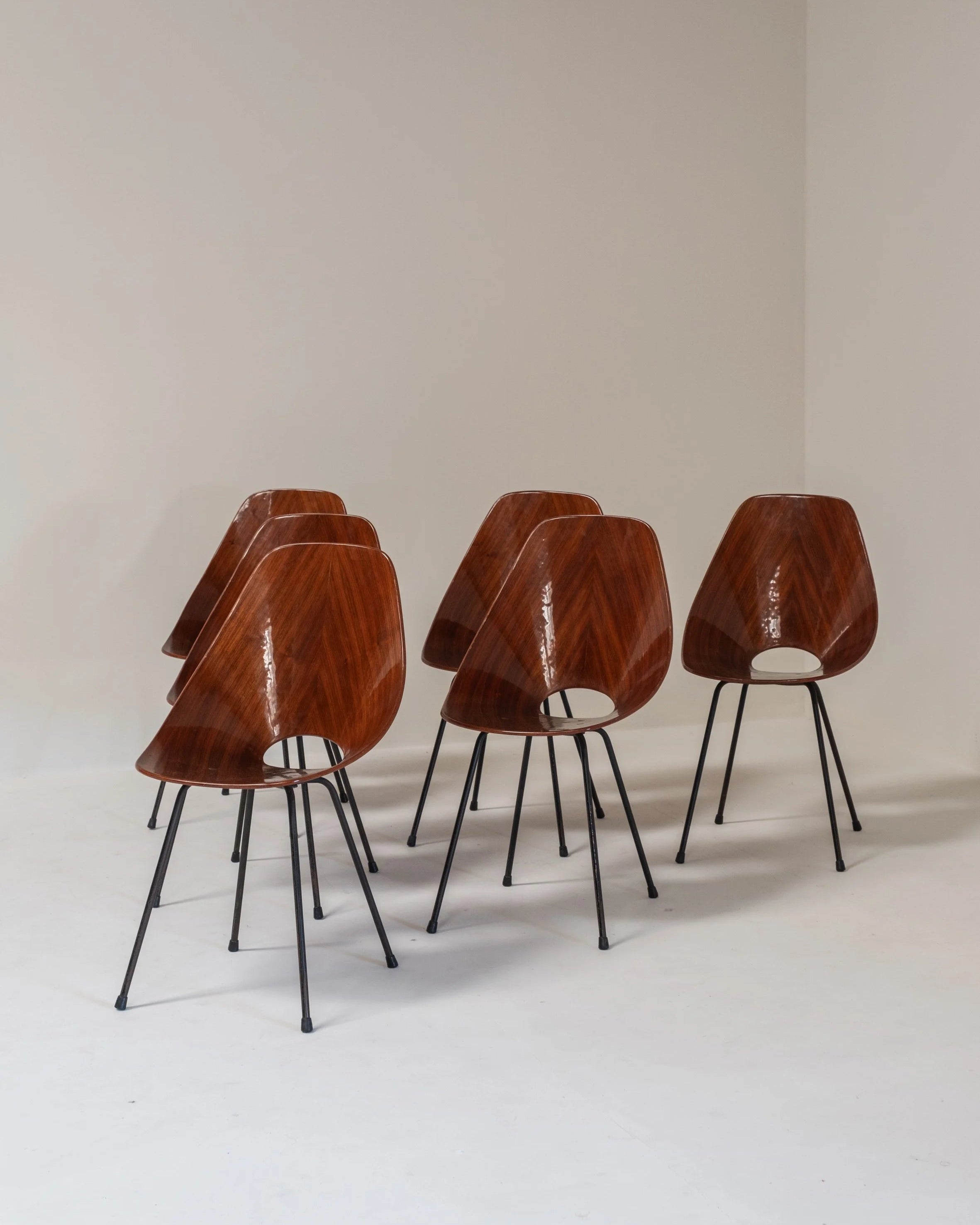 Set of 6 Medea Chairs by Vittorio Nobili, Italy, 1955 by Paulette in 't Stad | The Oblist