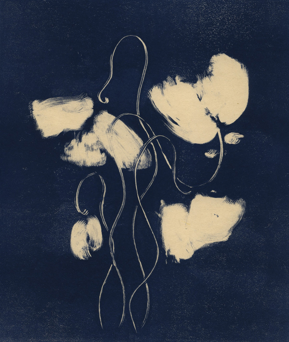 'Bloom II-IV' | monotype drawings by Heidi Hundseth Hart — alternate view