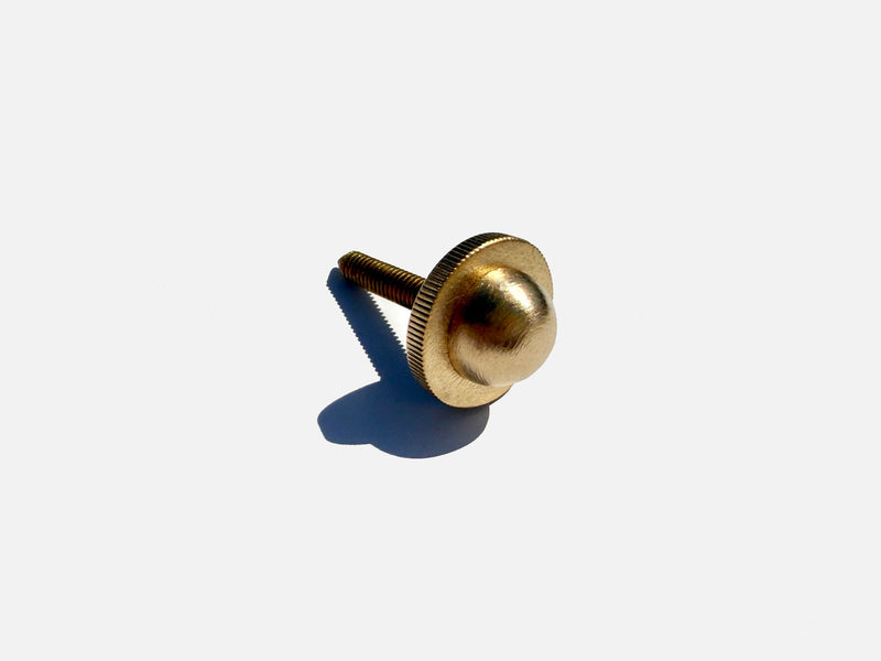 Brass thumbscrew hardware detail of Selene wall sconce