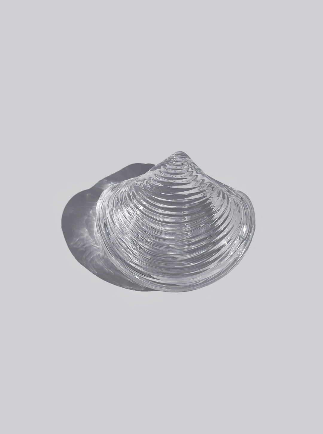 Shell Glass Box — lifestyle setting