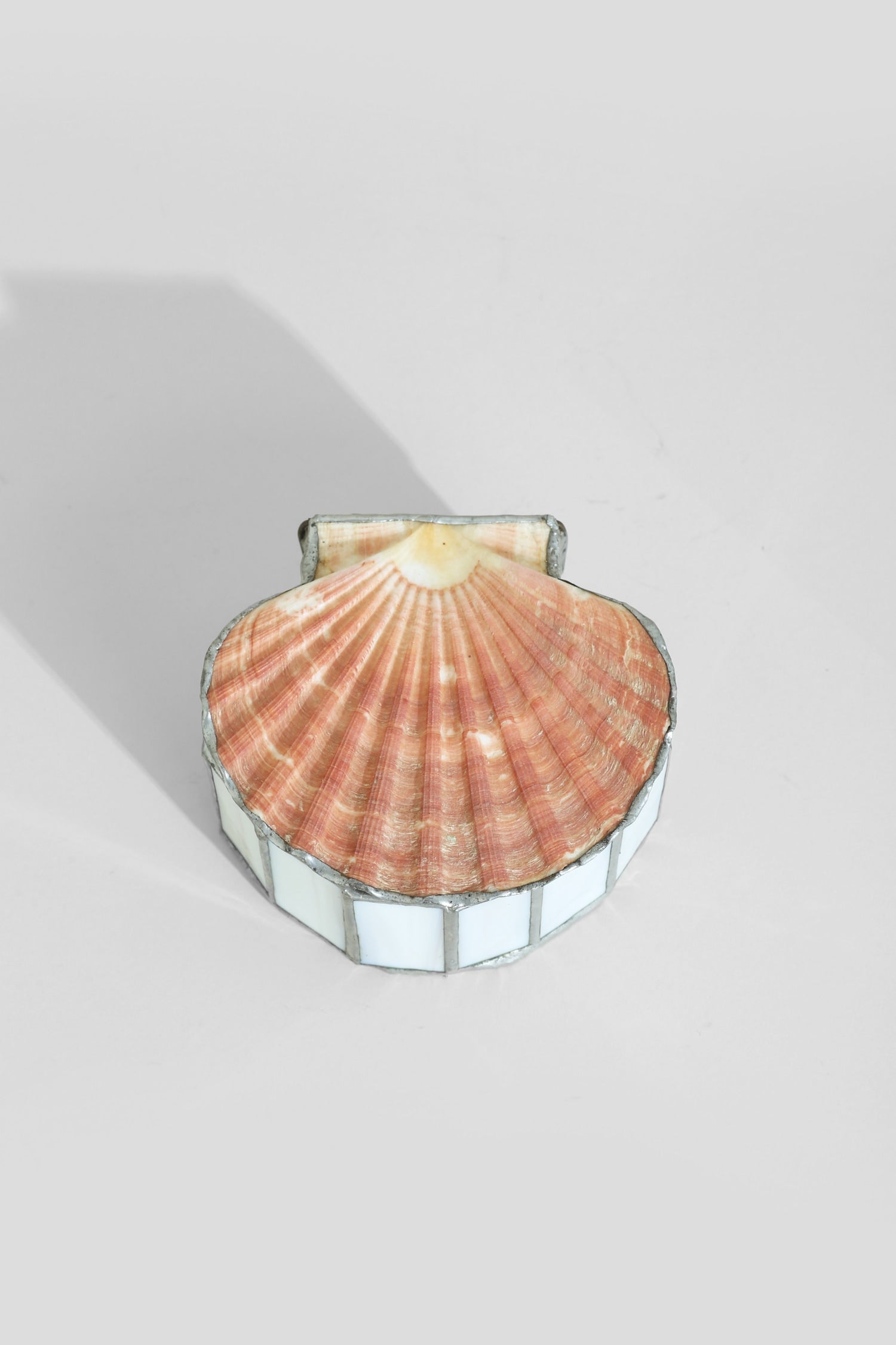 Scallop Shell Jewelry Box by Villa | The Oblist