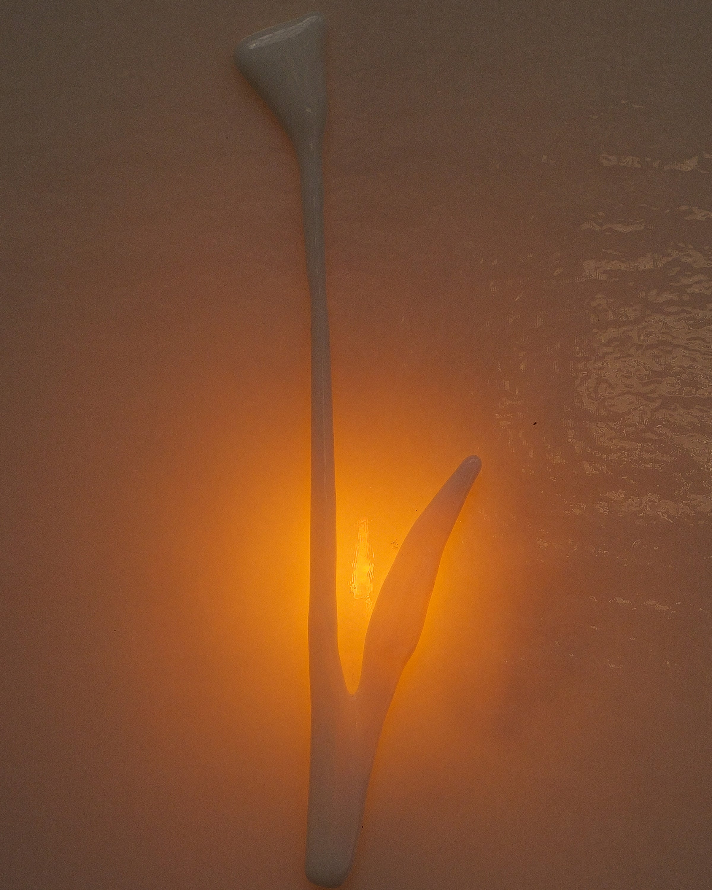 Portrait de fleur II, Applique en verre — side angle
