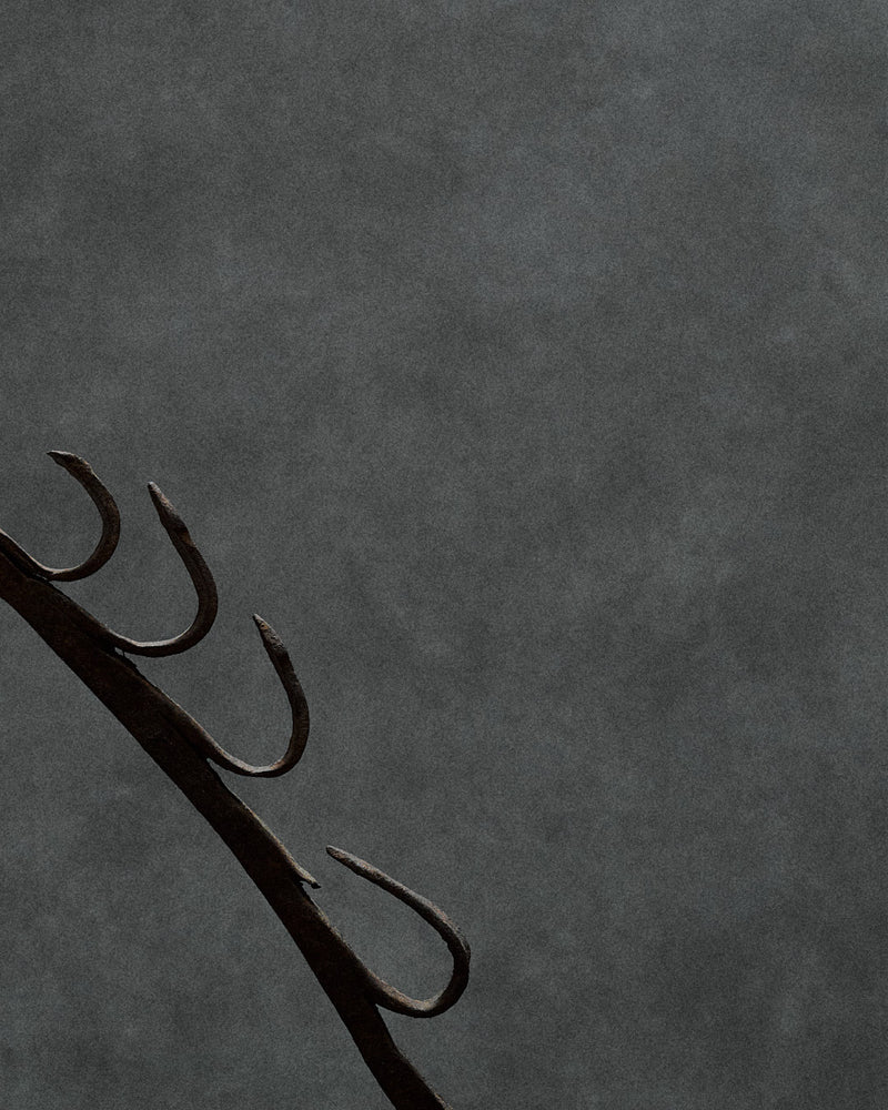 handcrafted iron sculpture with primal animal motifs — close-up of curved iron detail against gray background