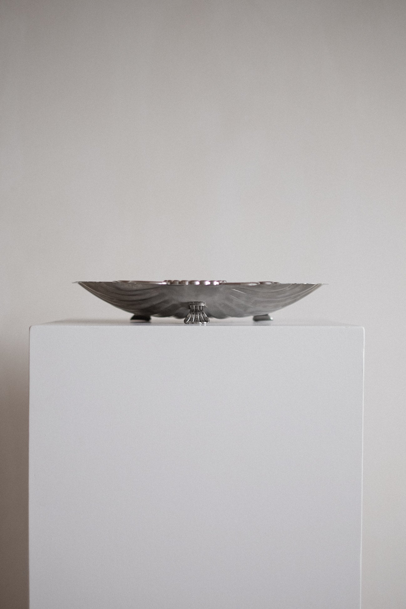 Decorative Shell Dish  — close-up
