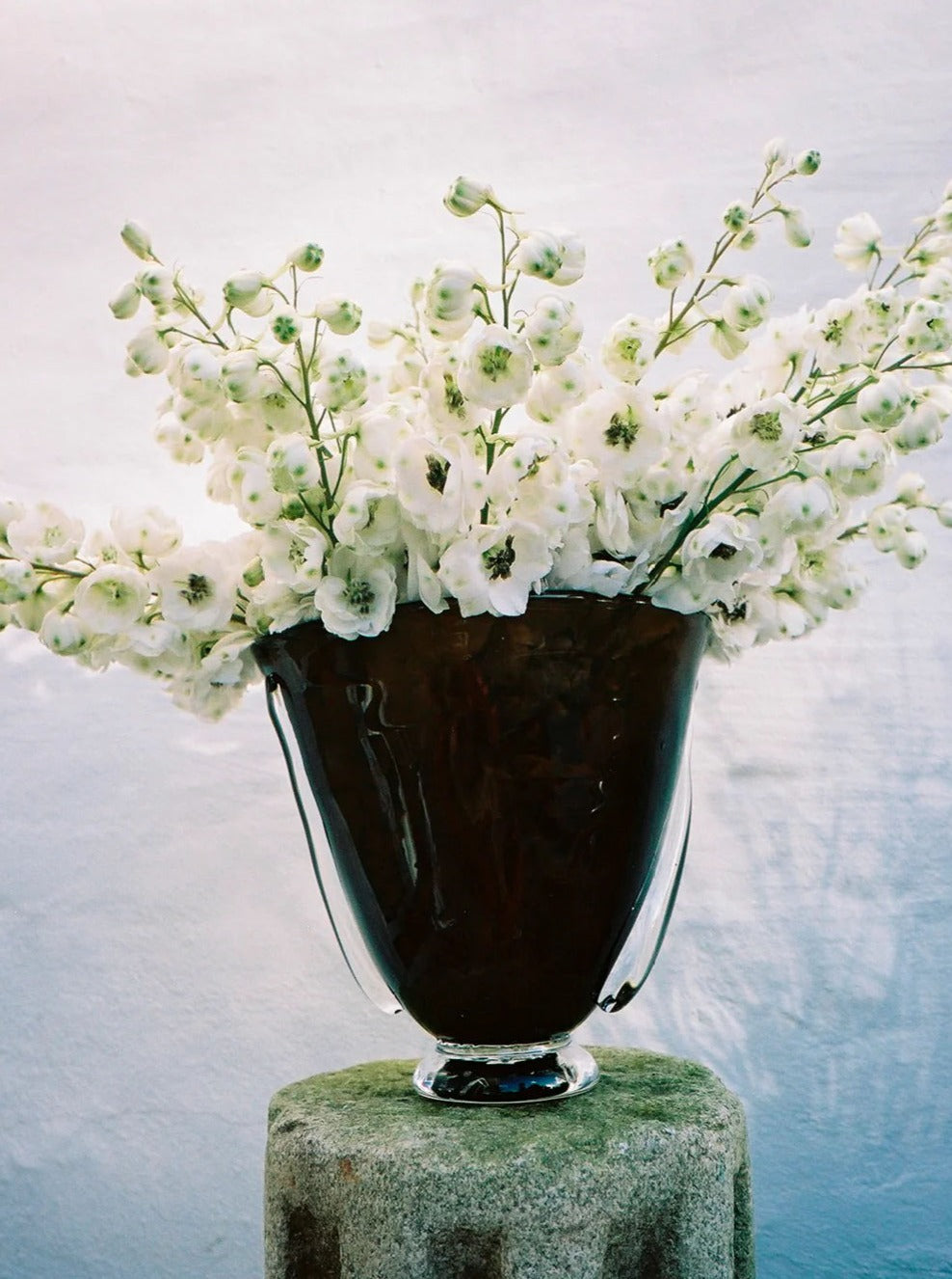Mouth Blown Karl Vase — side angle with white flowers in dark glass