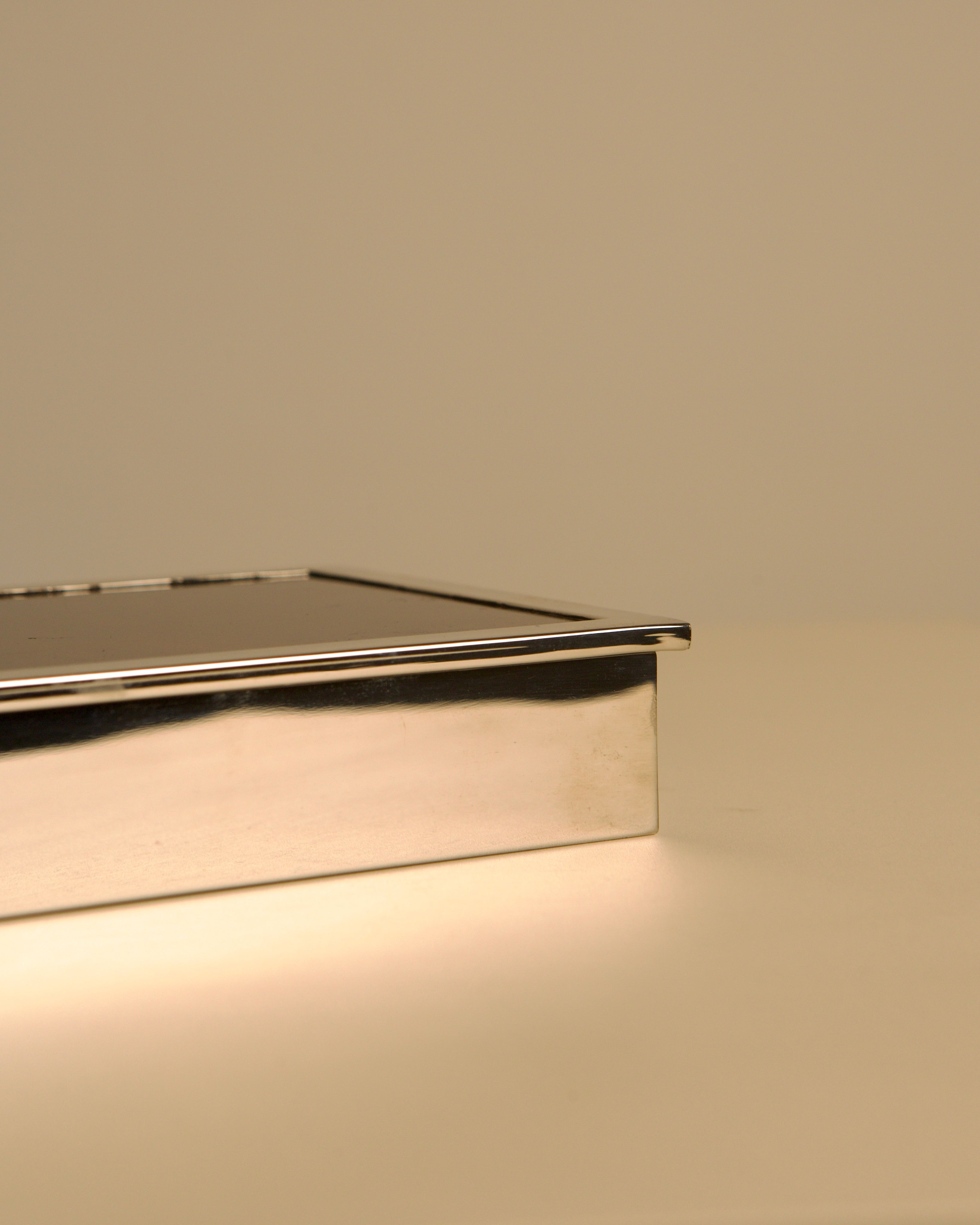 Italian rectangular box in chrome metal and faux tortoiseshell lacquer with light wood int — close-up