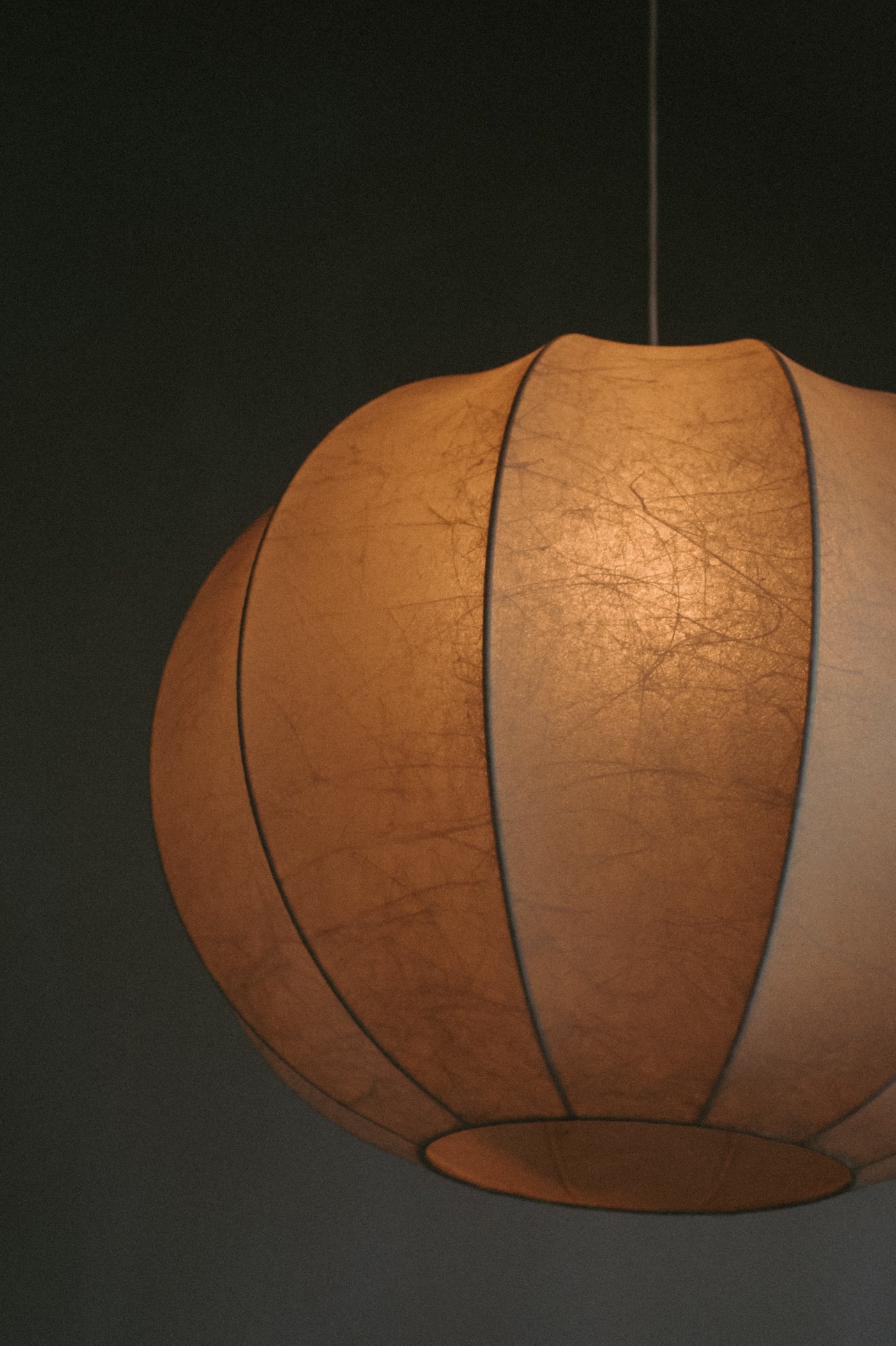 Cocoon Lamp 1960s — in context