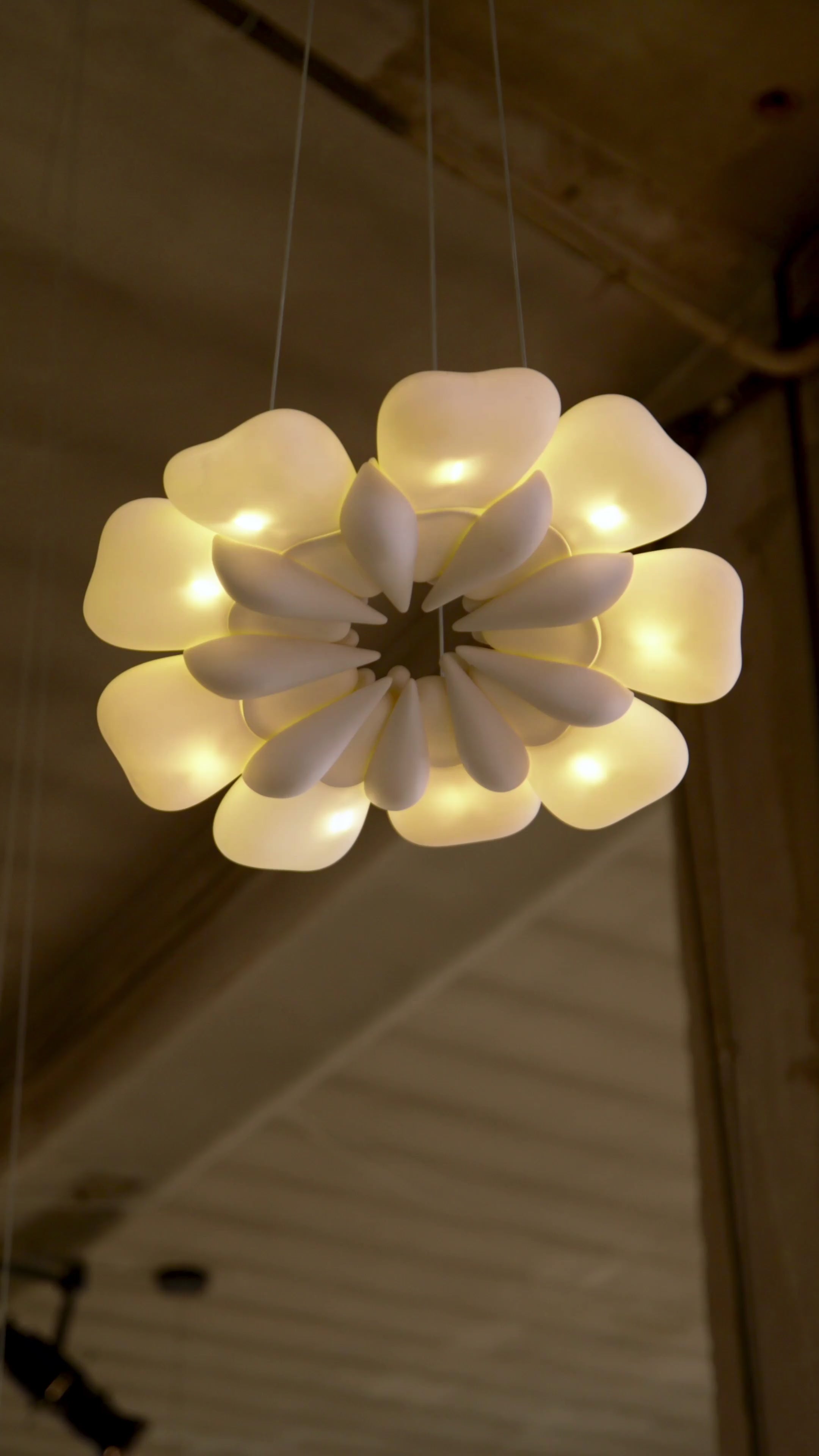 'Pelagi' Pendant Light - Video