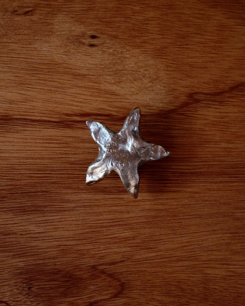 STAR Cabinet Knob/Wall Hook by Maha Alavi | The Oblist — silver metal finish