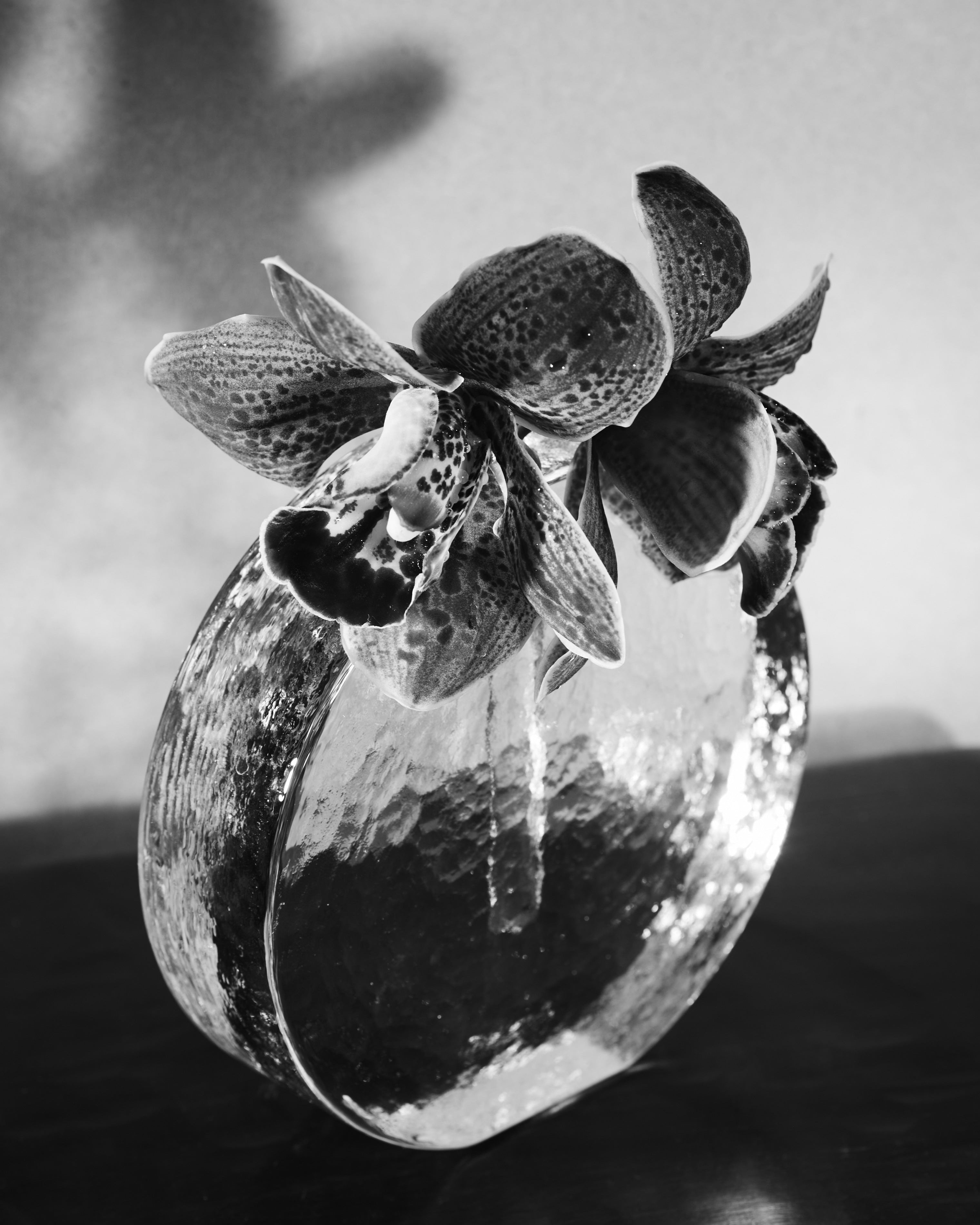Scandinavian Solifleur Vase in Clear Glass c. 1960 by DIG IN JAPAN | The Oblist — handcrafted clear glass design
