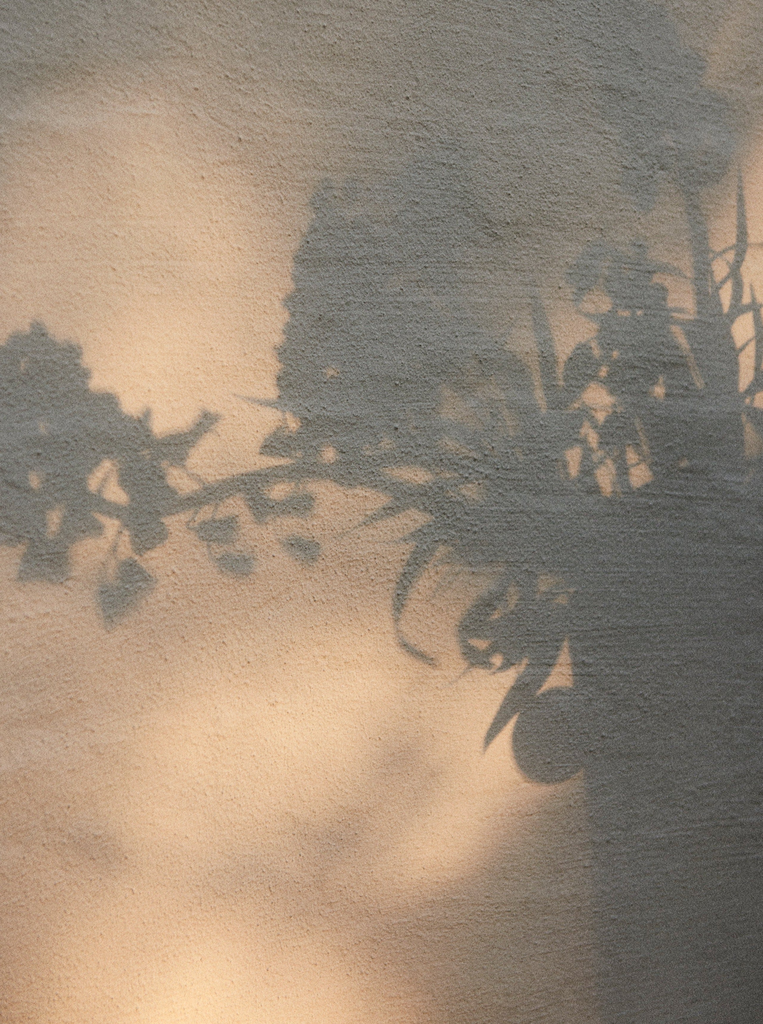 Oliver Vase — top view showing floral shadow on wall