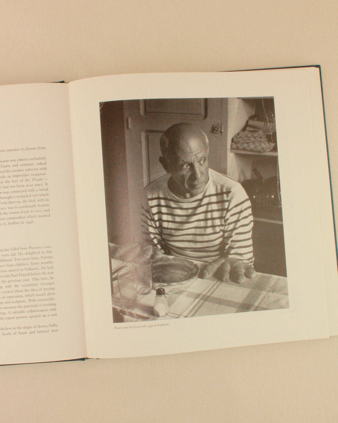 PICASSO 'THE MASTERWORKS' — back view of book with black and white image