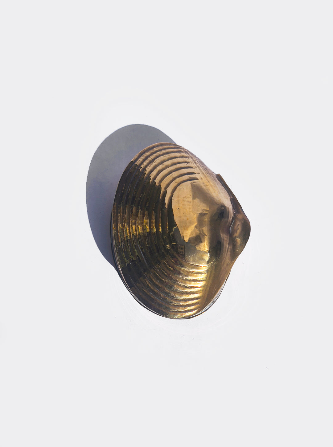 Shell Brass Box — detail view