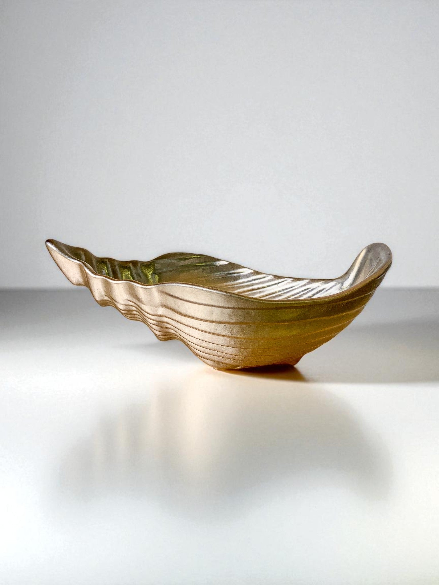 Murano Glass Shell Vide-poches, Italy, 1980s — side angle on white surface