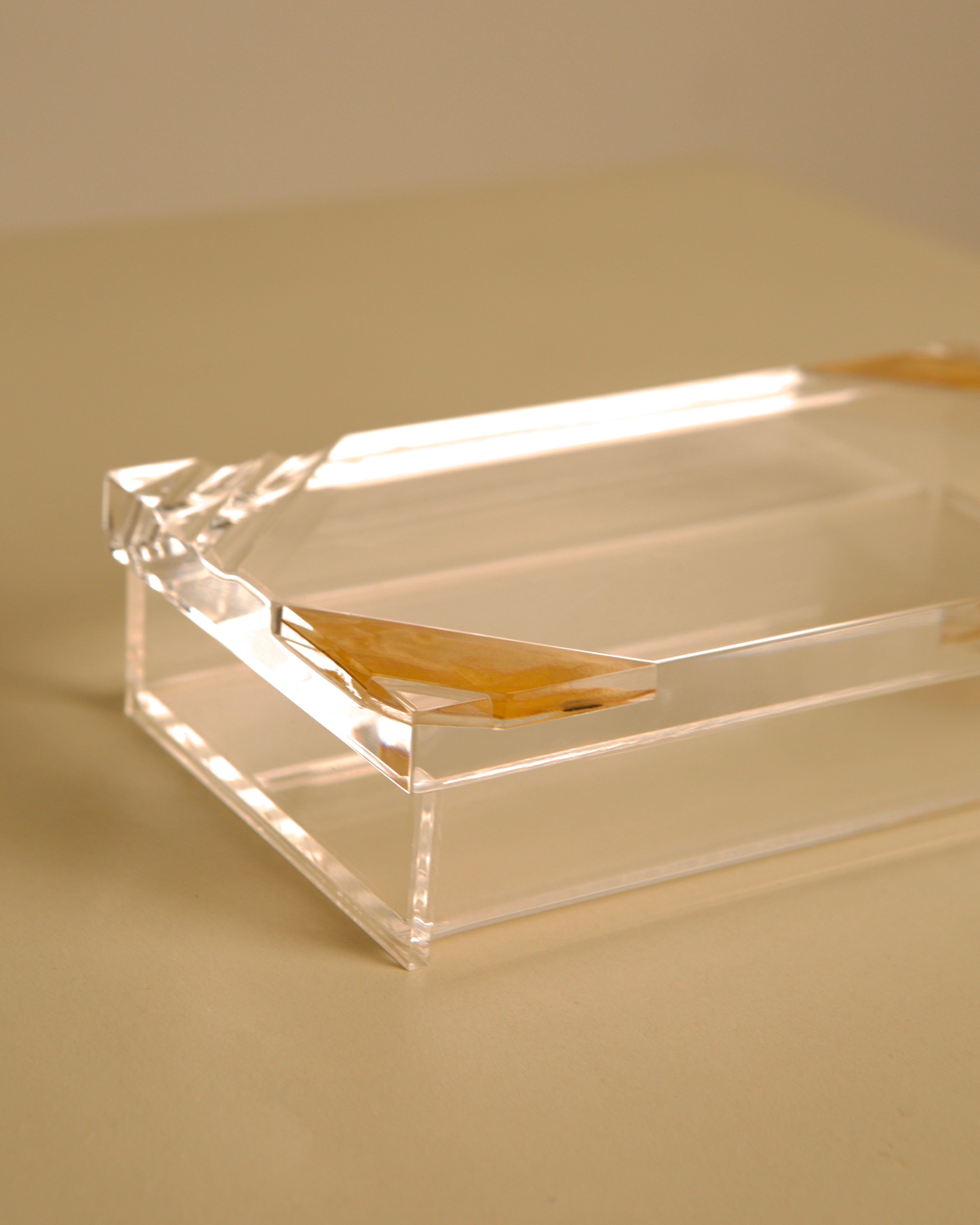 talian Rectangular Lucite & Wood Box, 1970s — close-up