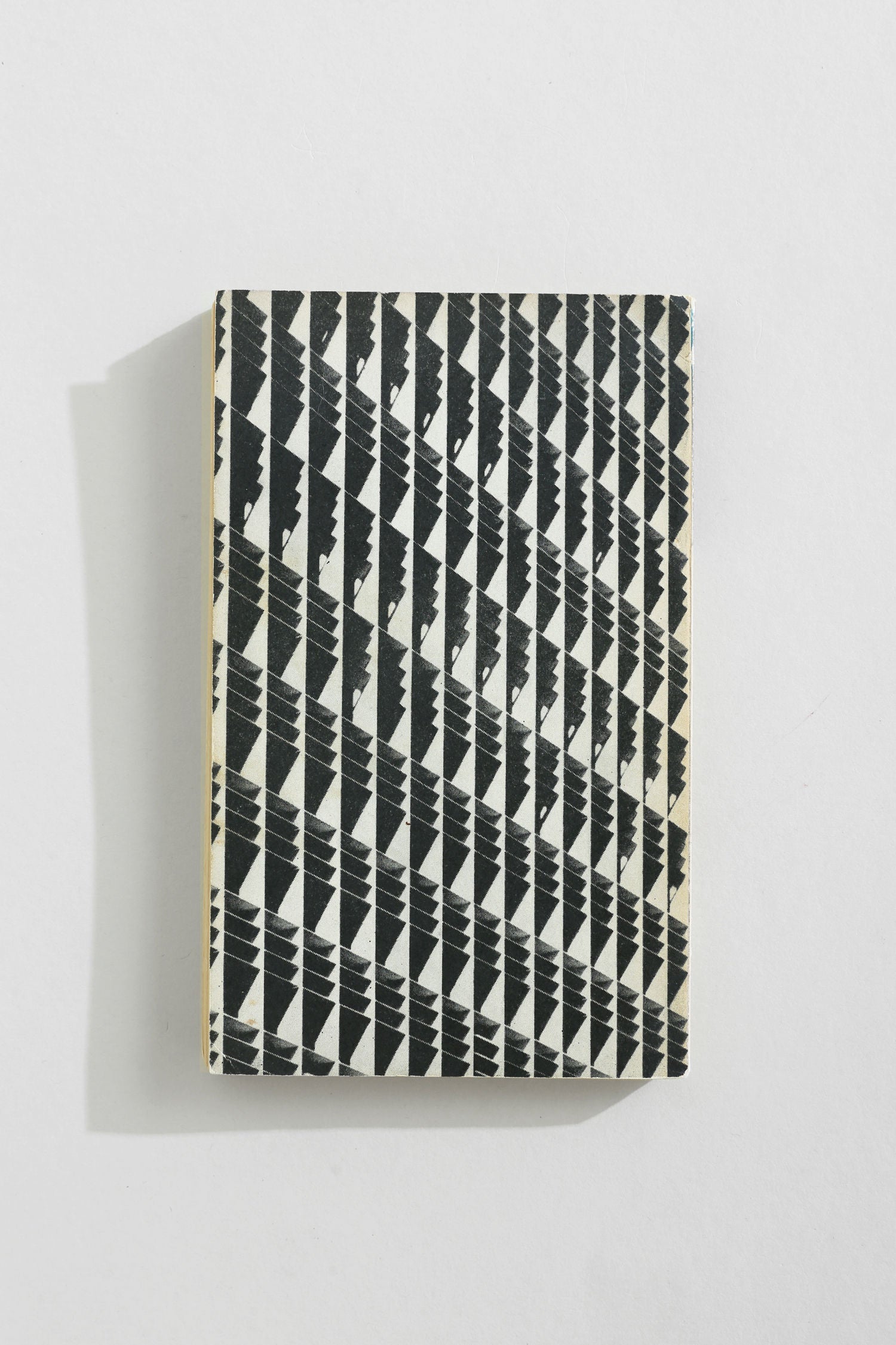 Modern Architecture Book